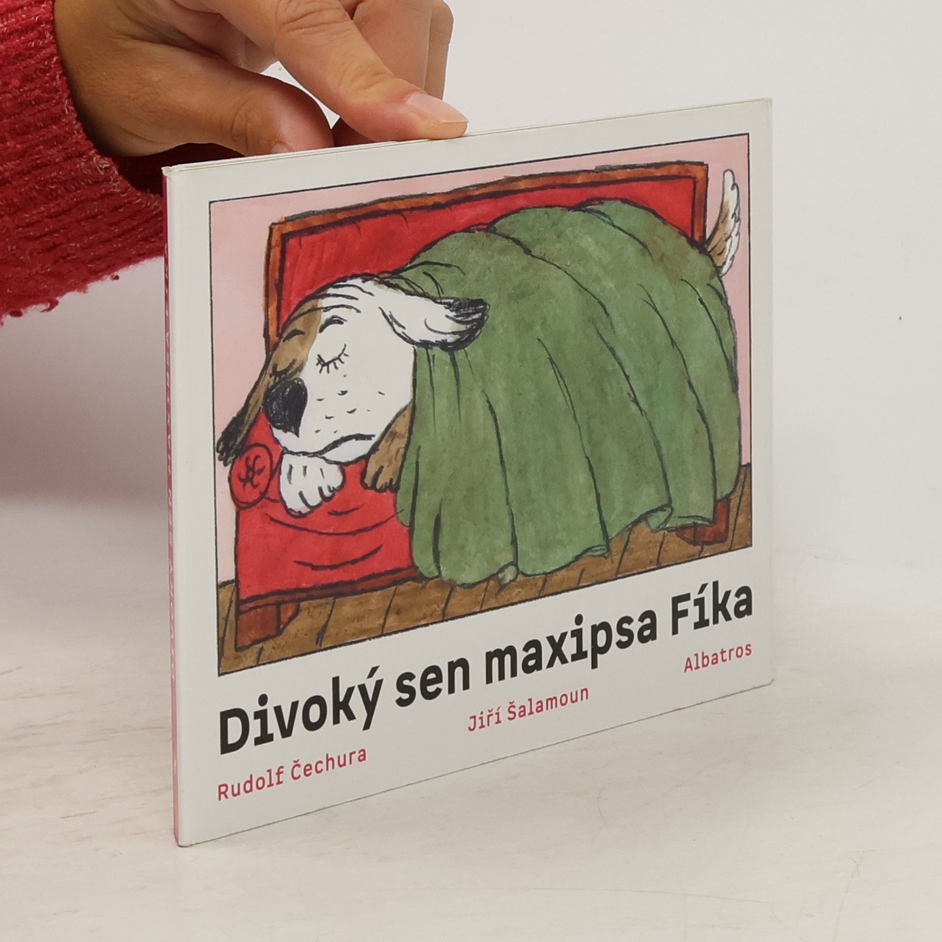 Rudolf Čechura Divoký sen Maxipsa Fíka