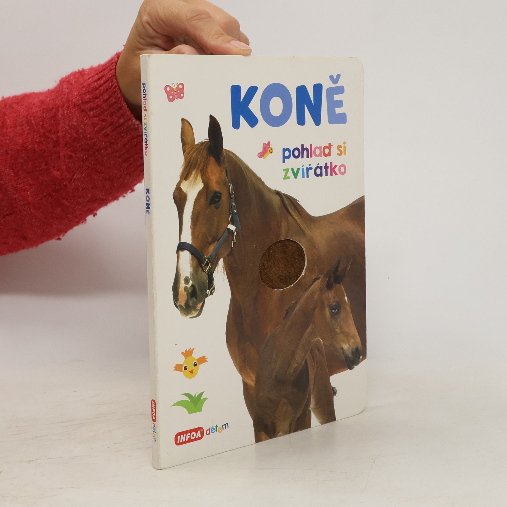 Autorenkollektiv Koně : pohlaď si zvířátko