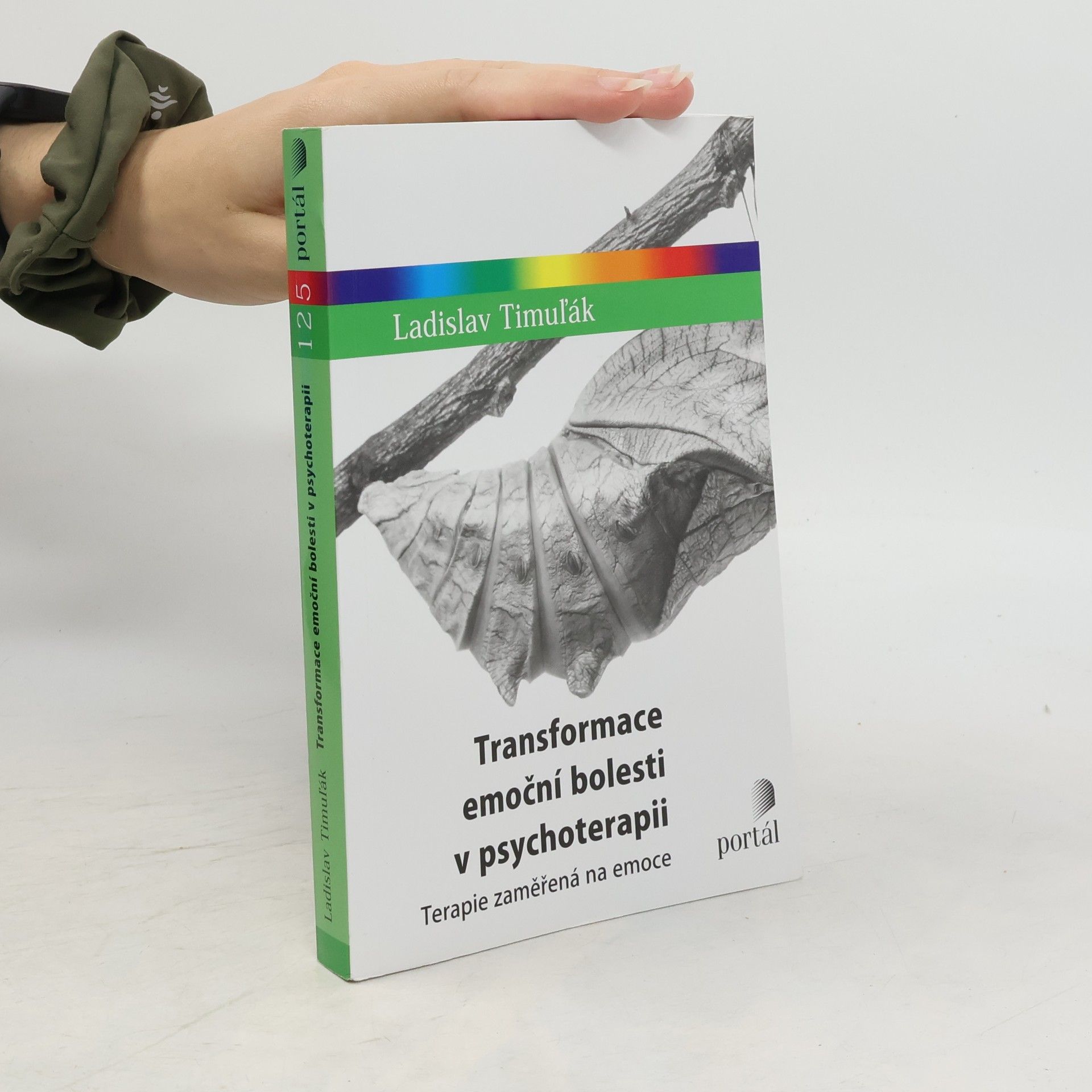 Ladislav Timuľák Transformace emoční bolesti v psychoterapii