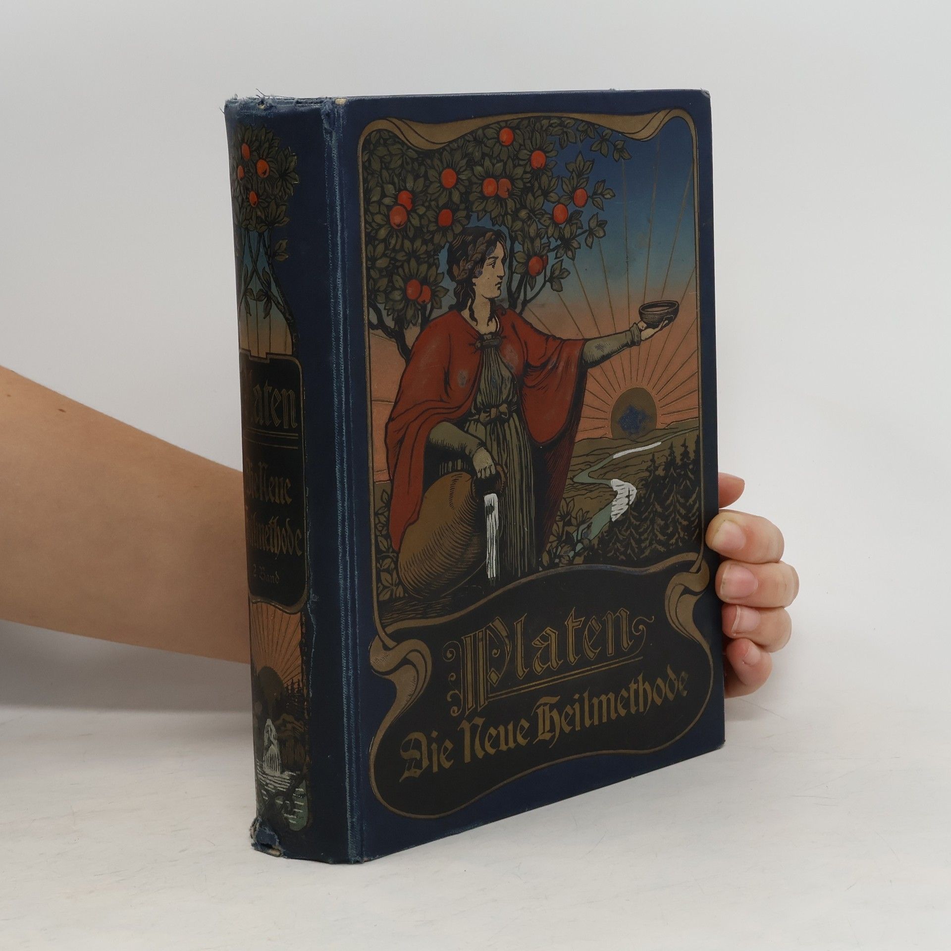 M. Platen Die Neue Heilmethode