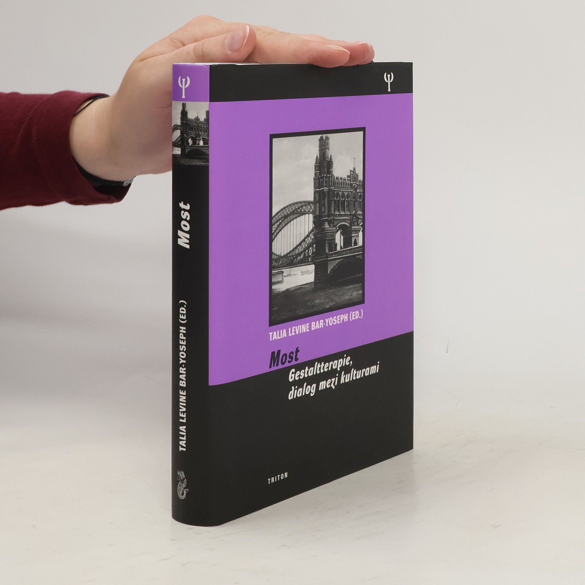 Talia Levine Bar Yoseph Most - Gestaltterapie, dialog mezi kulturami