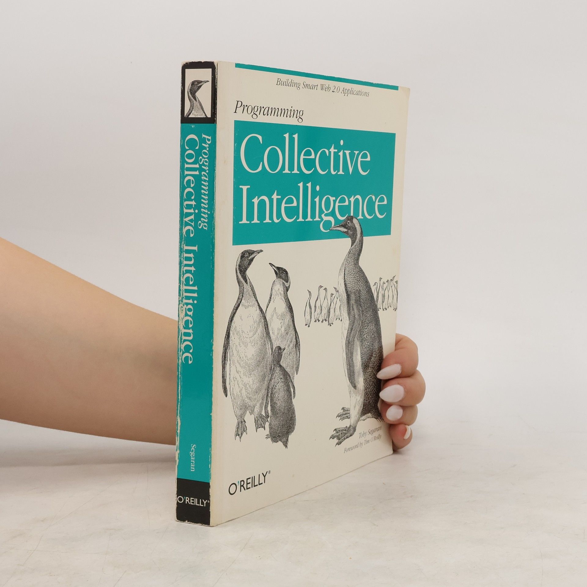 Toby Segaran Programming Collective Intelligence