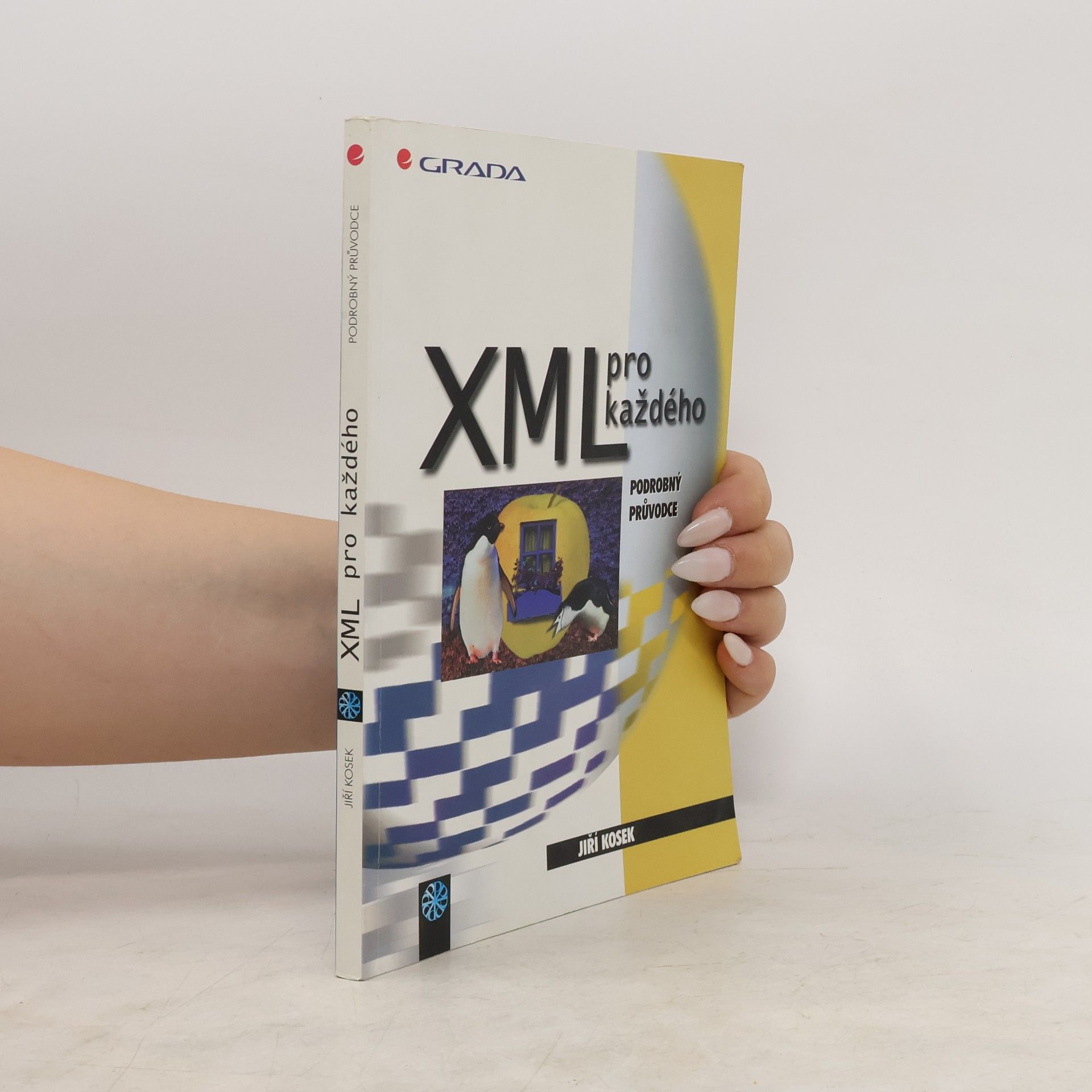 Jiří Kosek XML pro každého: Podrobný průvodce