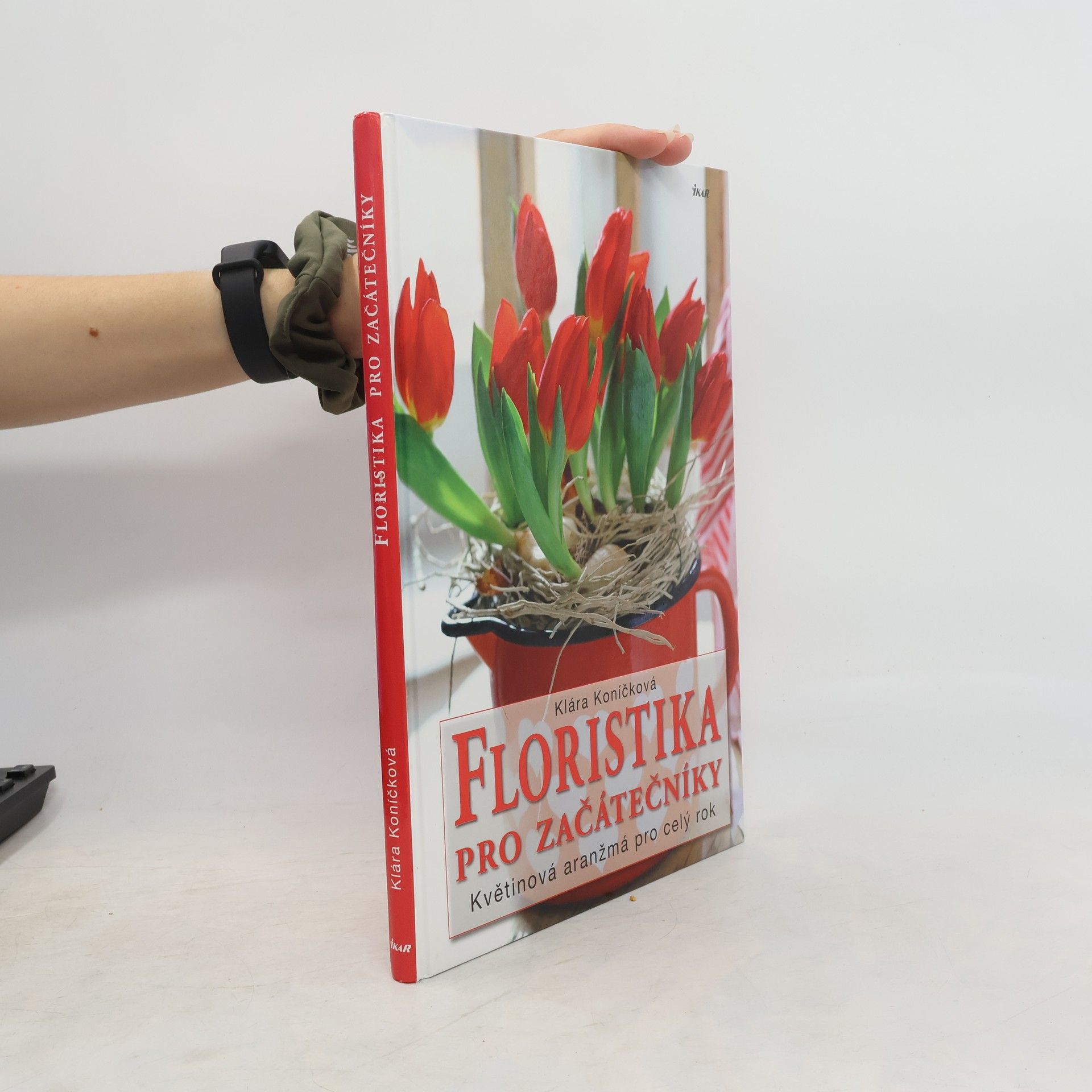 Klára Koníčková Floristika pro začátečníky. Květinová aranžmá pro celý rok