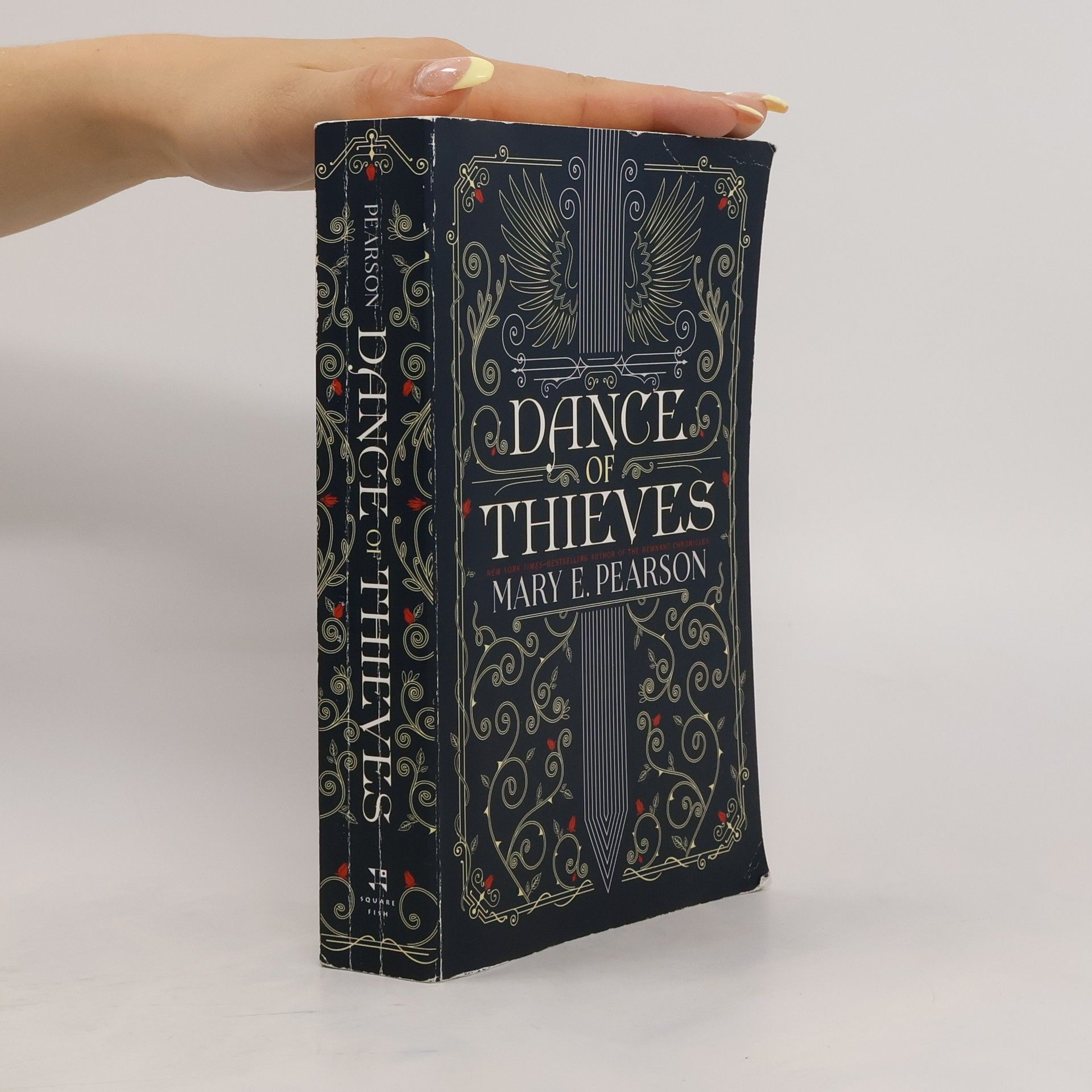 Mary E. Pearsonová Dance of Thieves