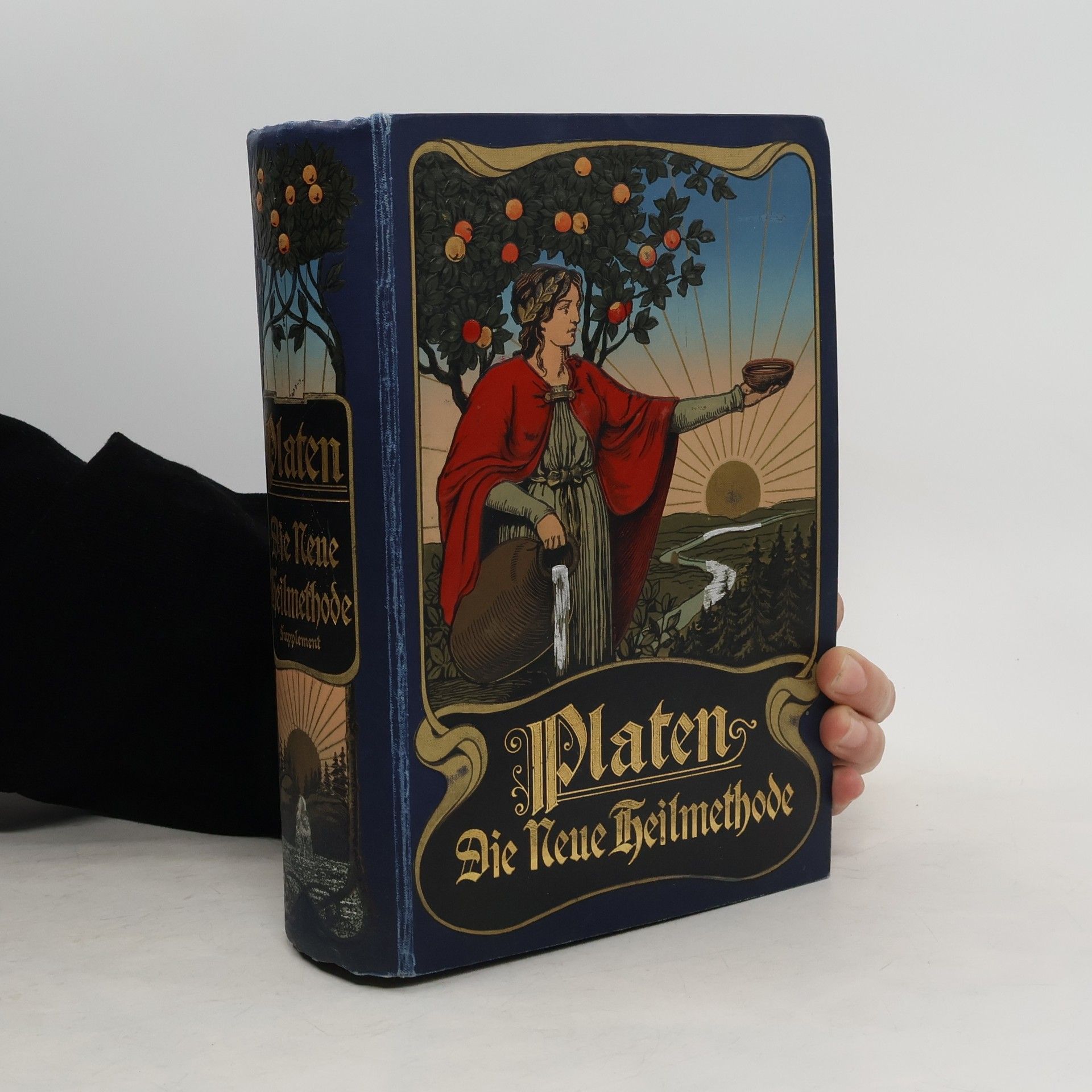 M. Platen Die Neue Heilmethode
