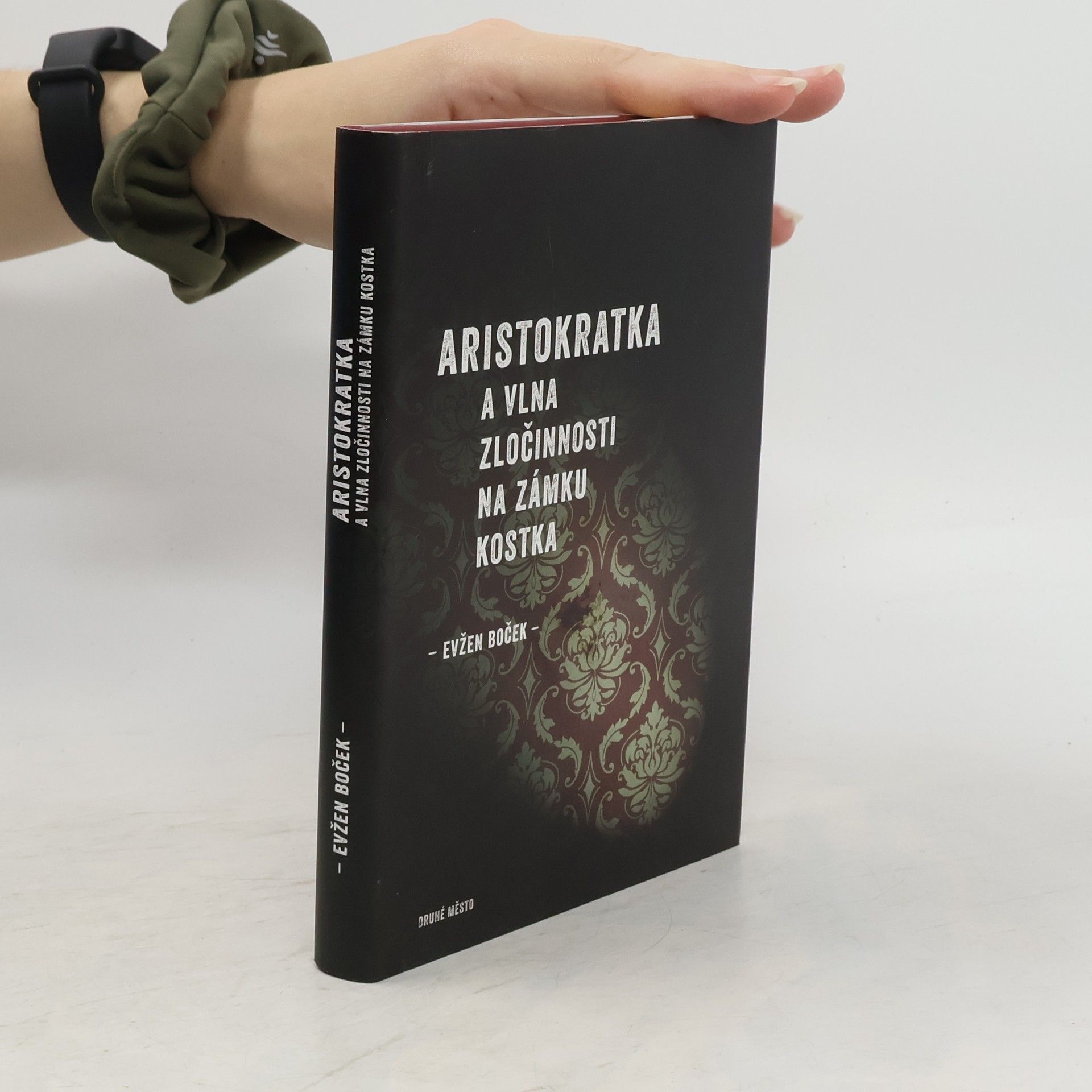 Evžen Boček Aristokratka a vlna zločinnosti na zámku Kostka