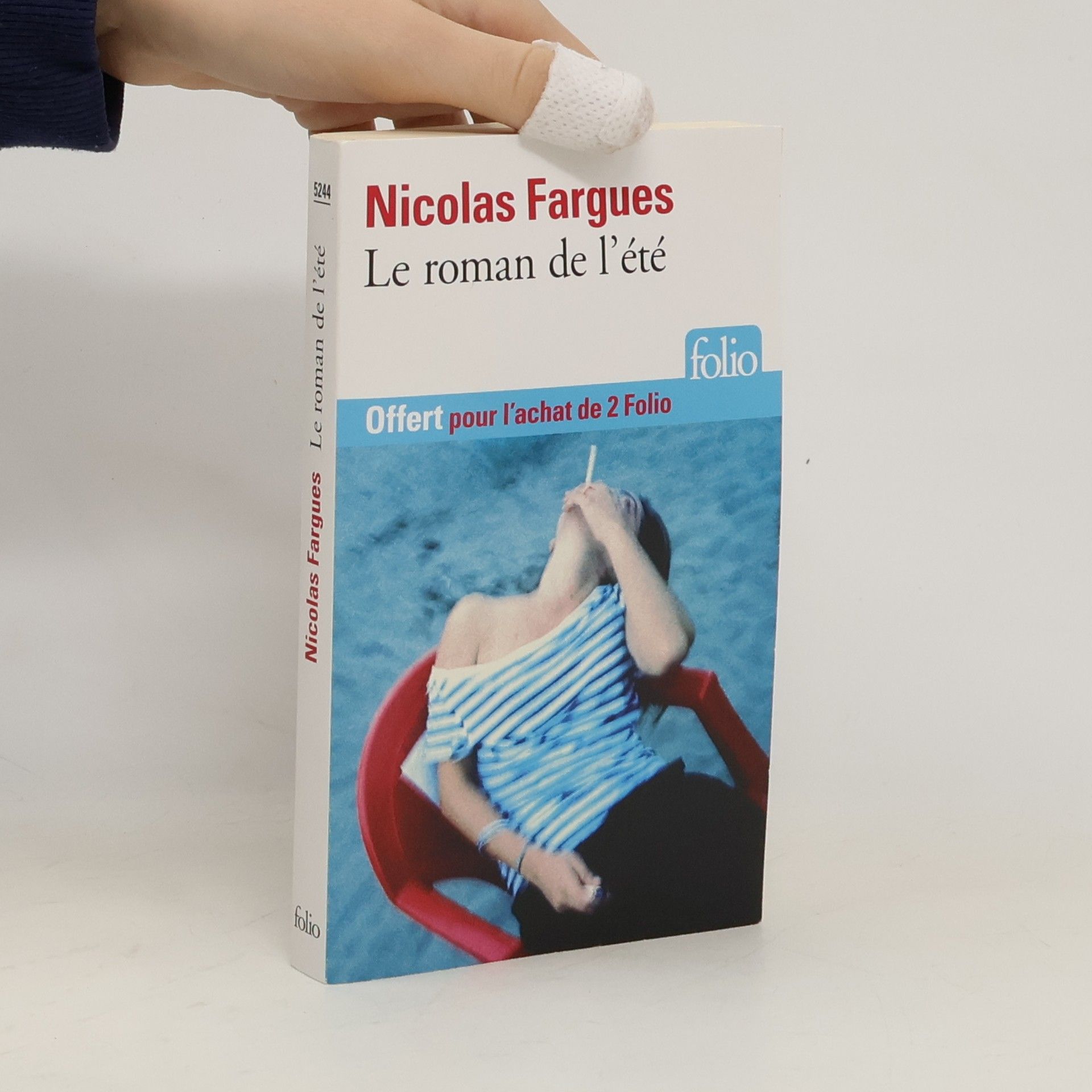 Nicolas Fargues Le roman de l´été