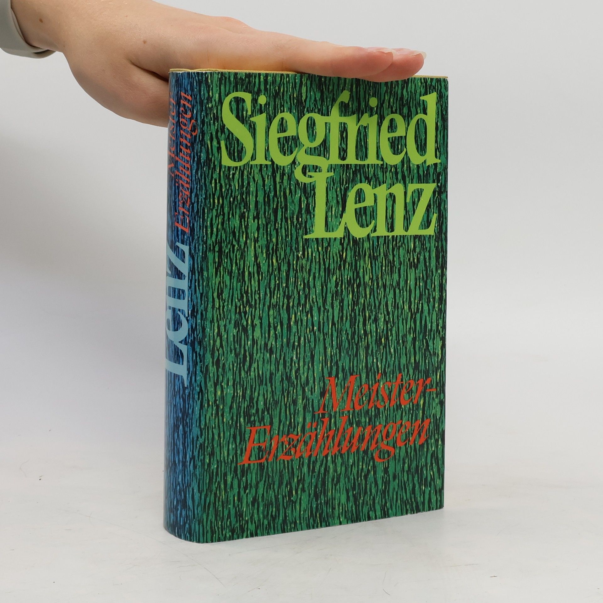 Siegfried Lenz Meistererzählungen