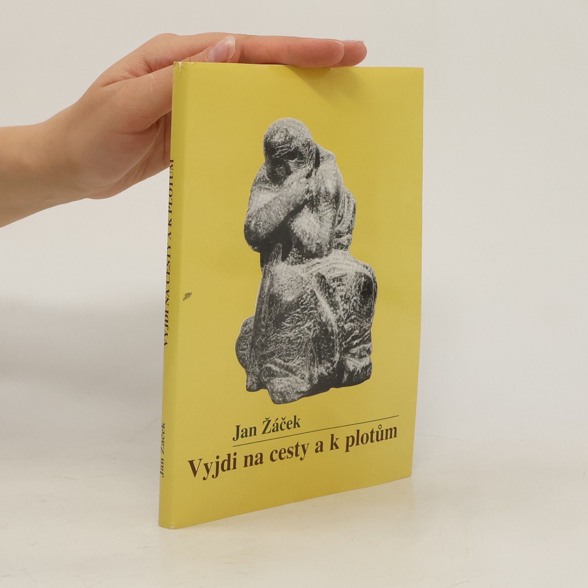 Jan Žáček Vyjdi na cesty a k plotům