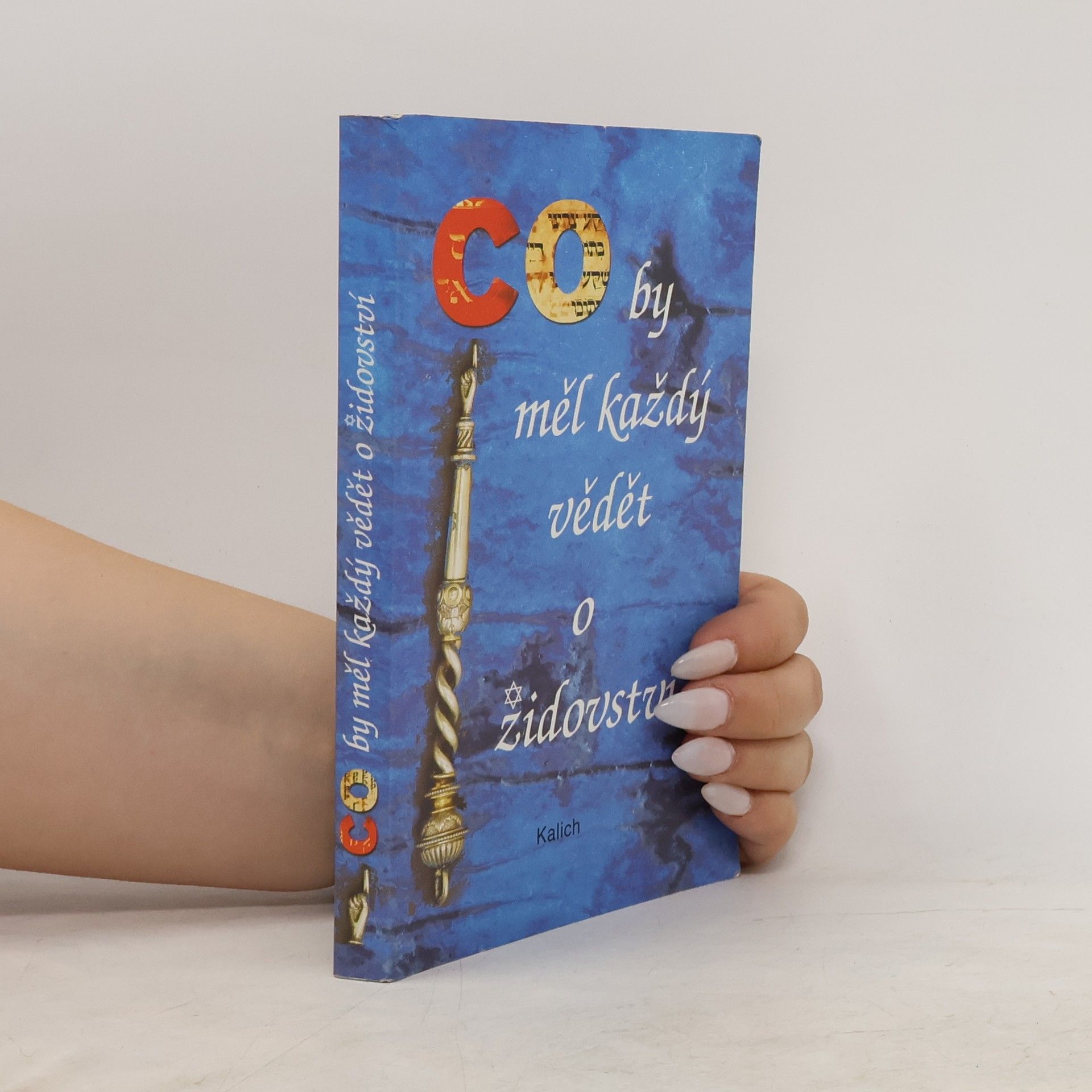 Lydie Cejpová Co by měl každý vědět o židovství