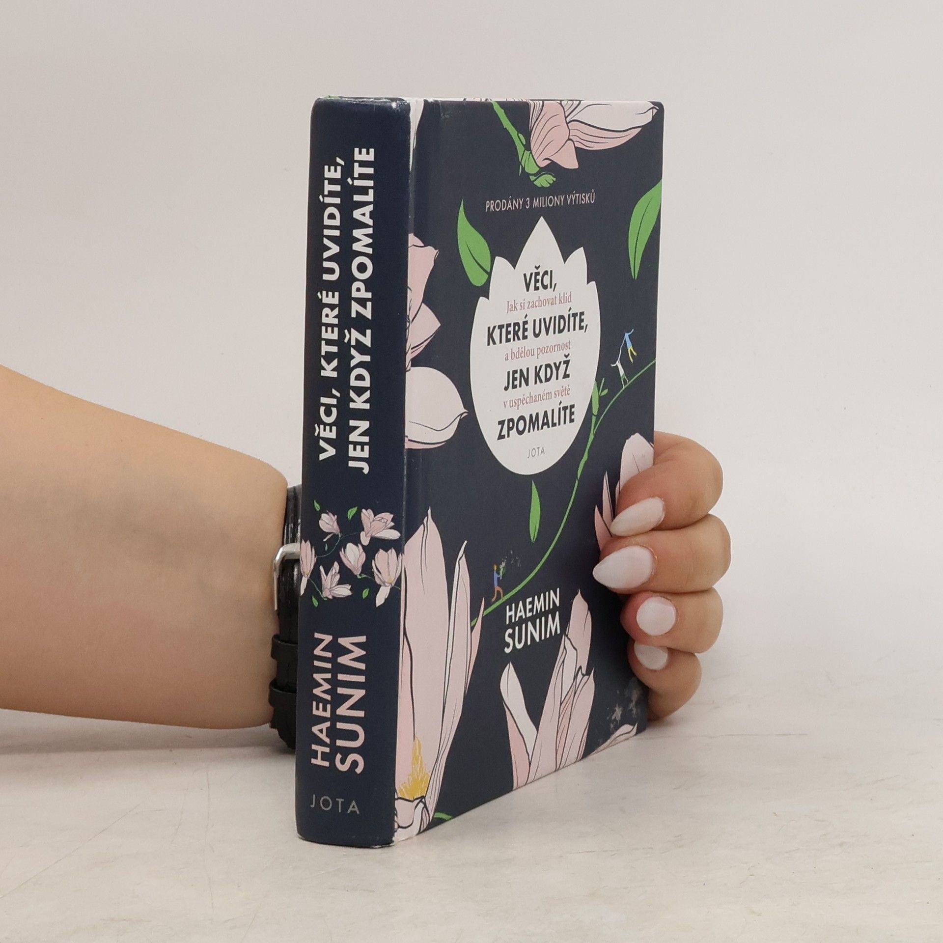 Sunim Haemin Věci, které uvidíte, jen když zpomalíte