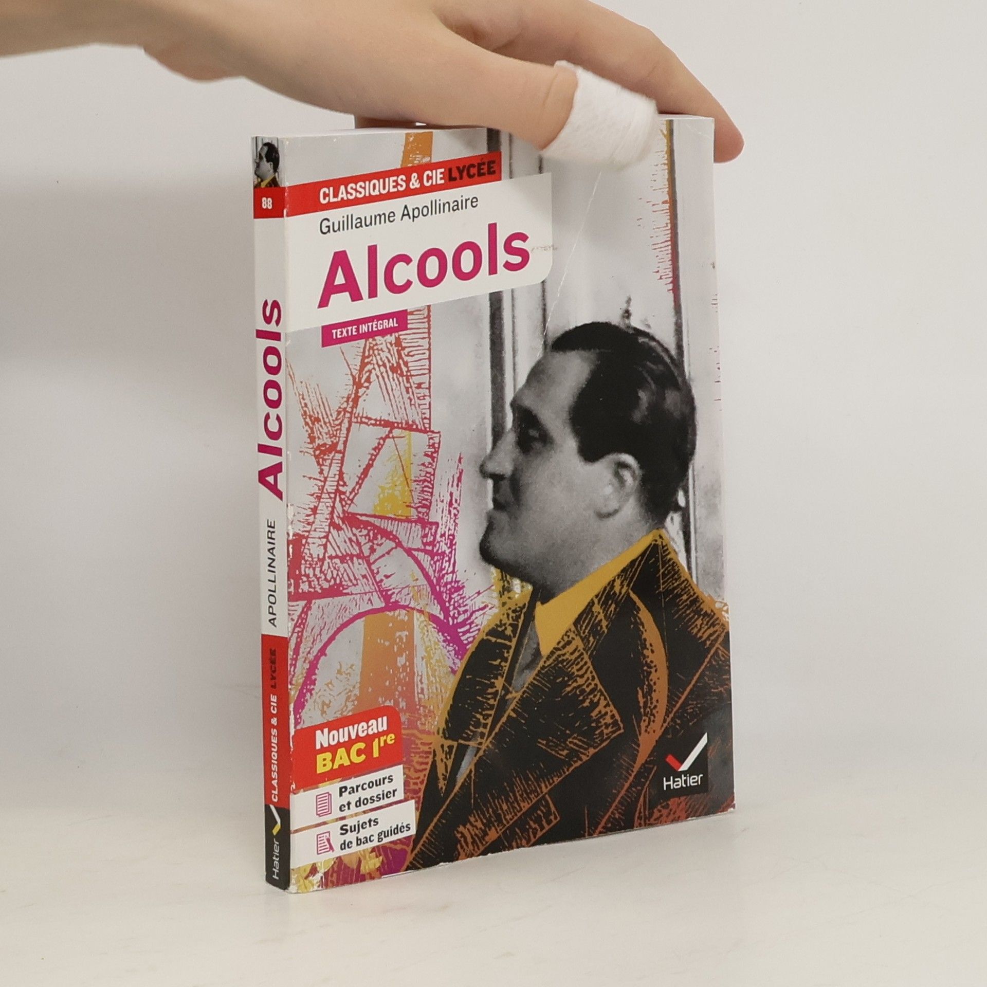 Guillaume Apollinaire Alcools