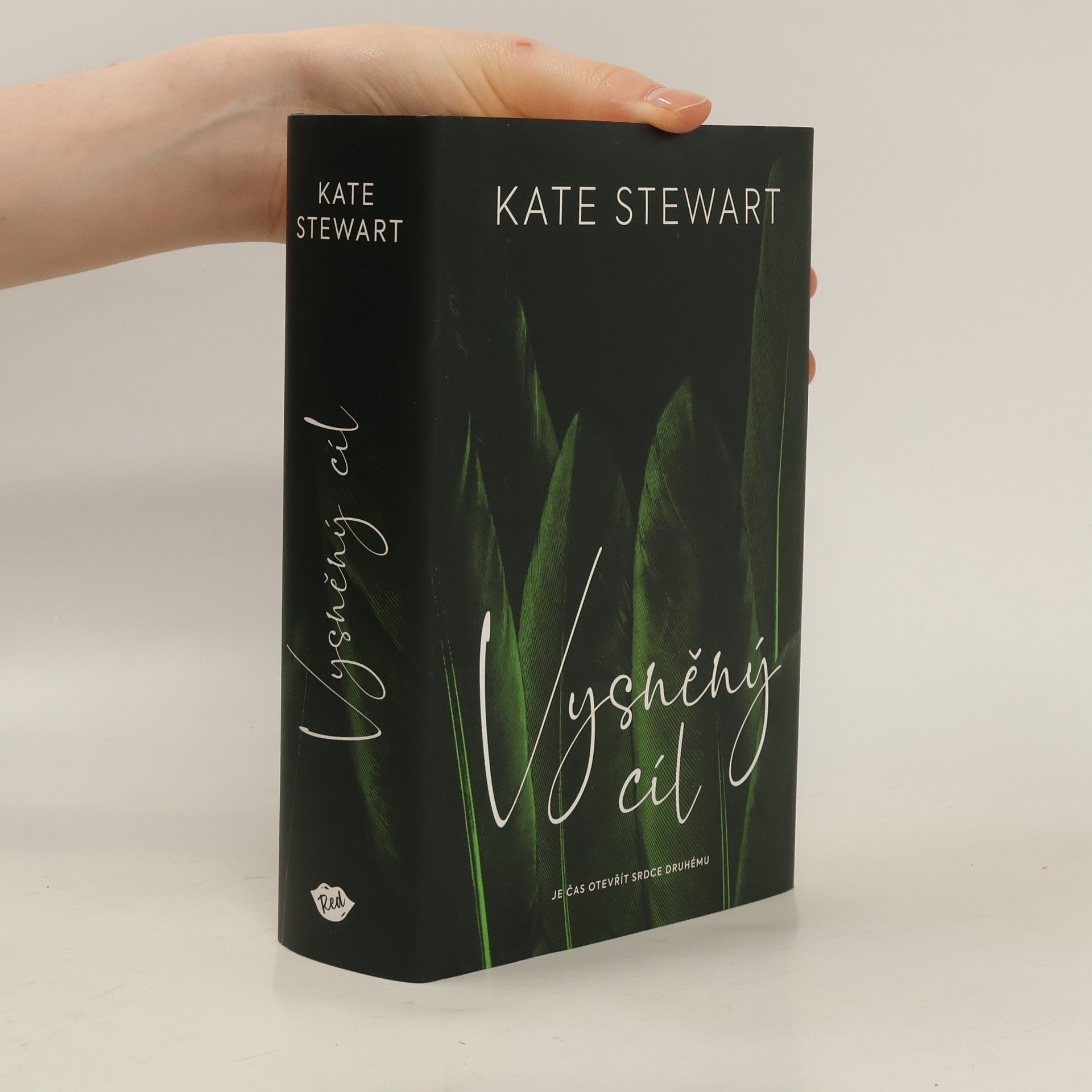 Kate Stewart Vysněný cíl. Kniha třetí