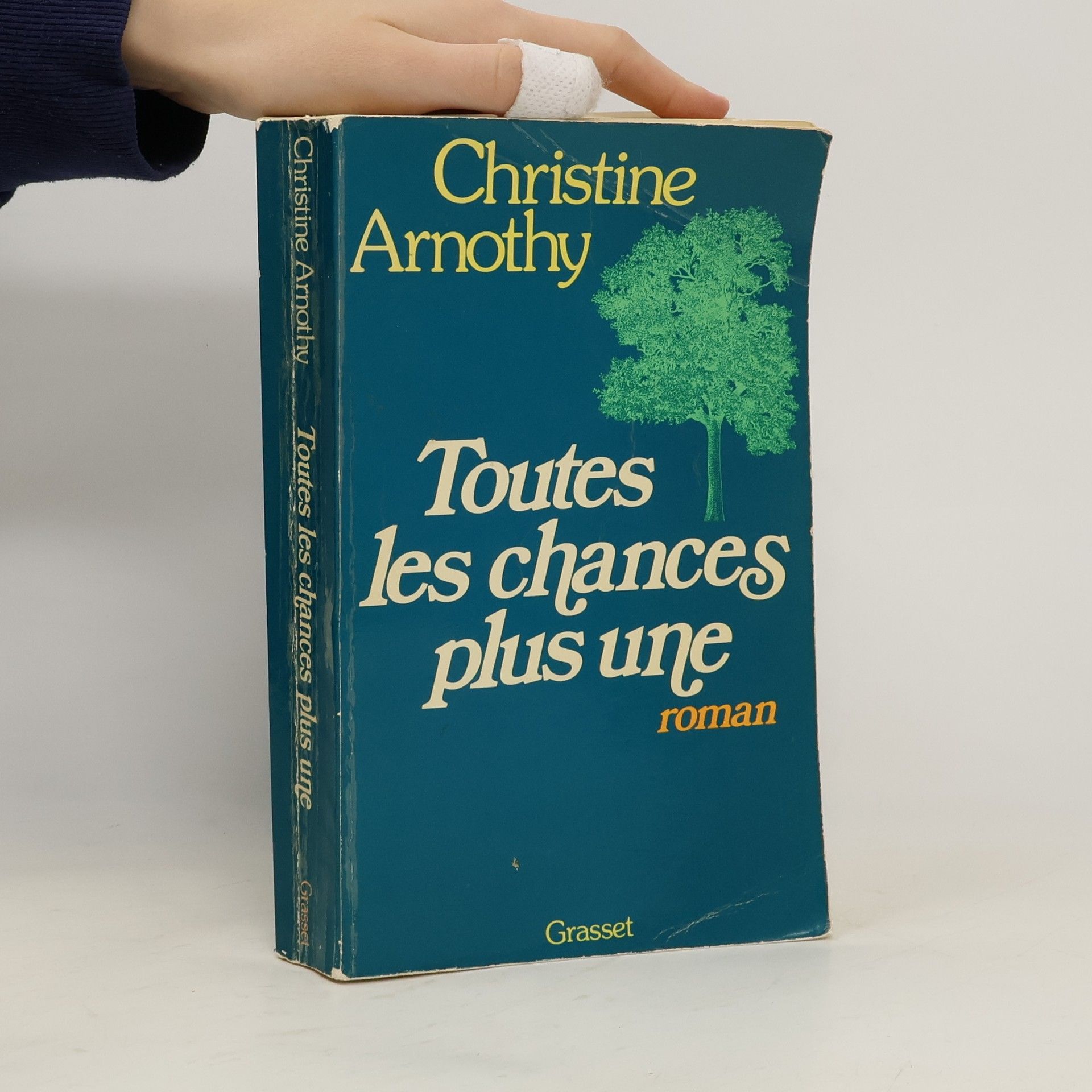Christine Arnothy Toutes les chances plus une
