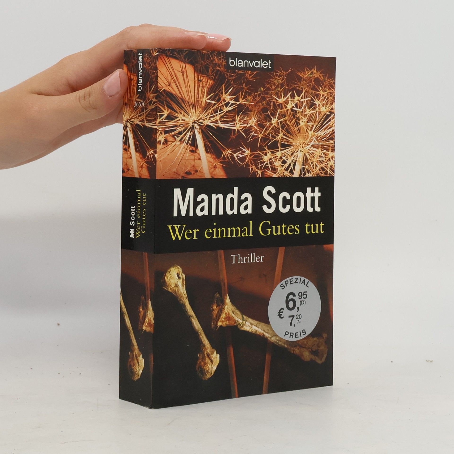 Manda Scott Wer einmal Gutes tut