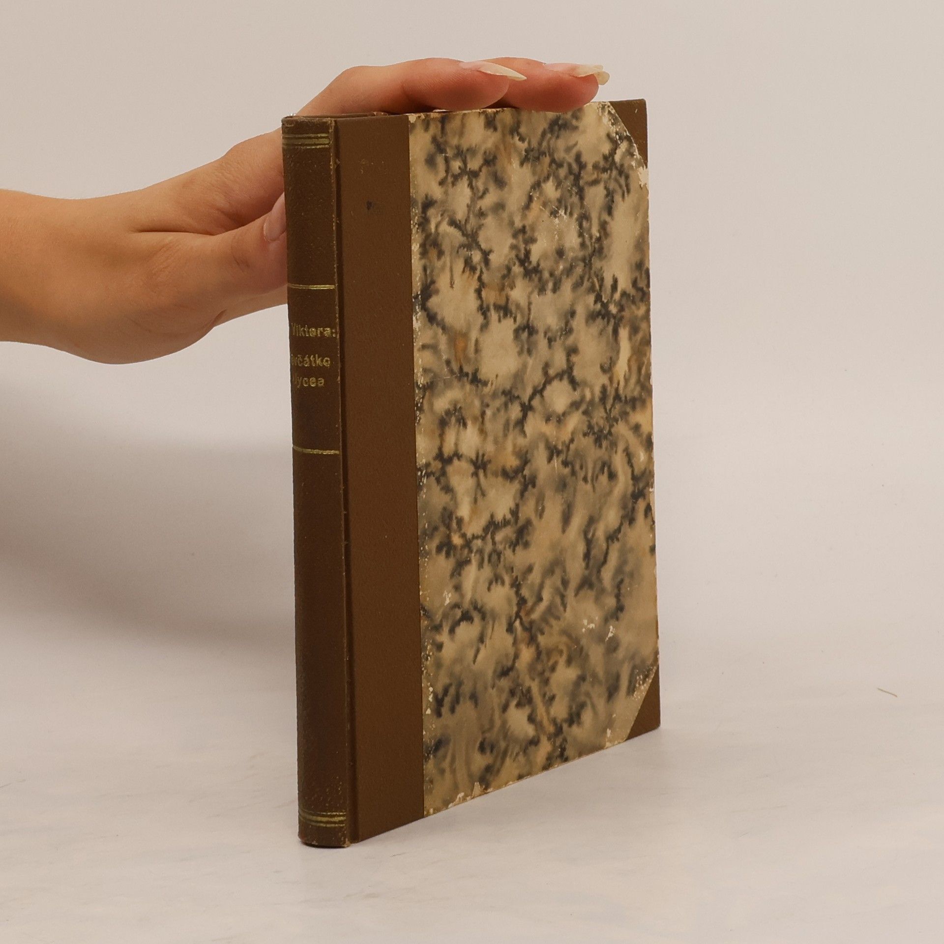 R. Viktora Děvčátko z lycea