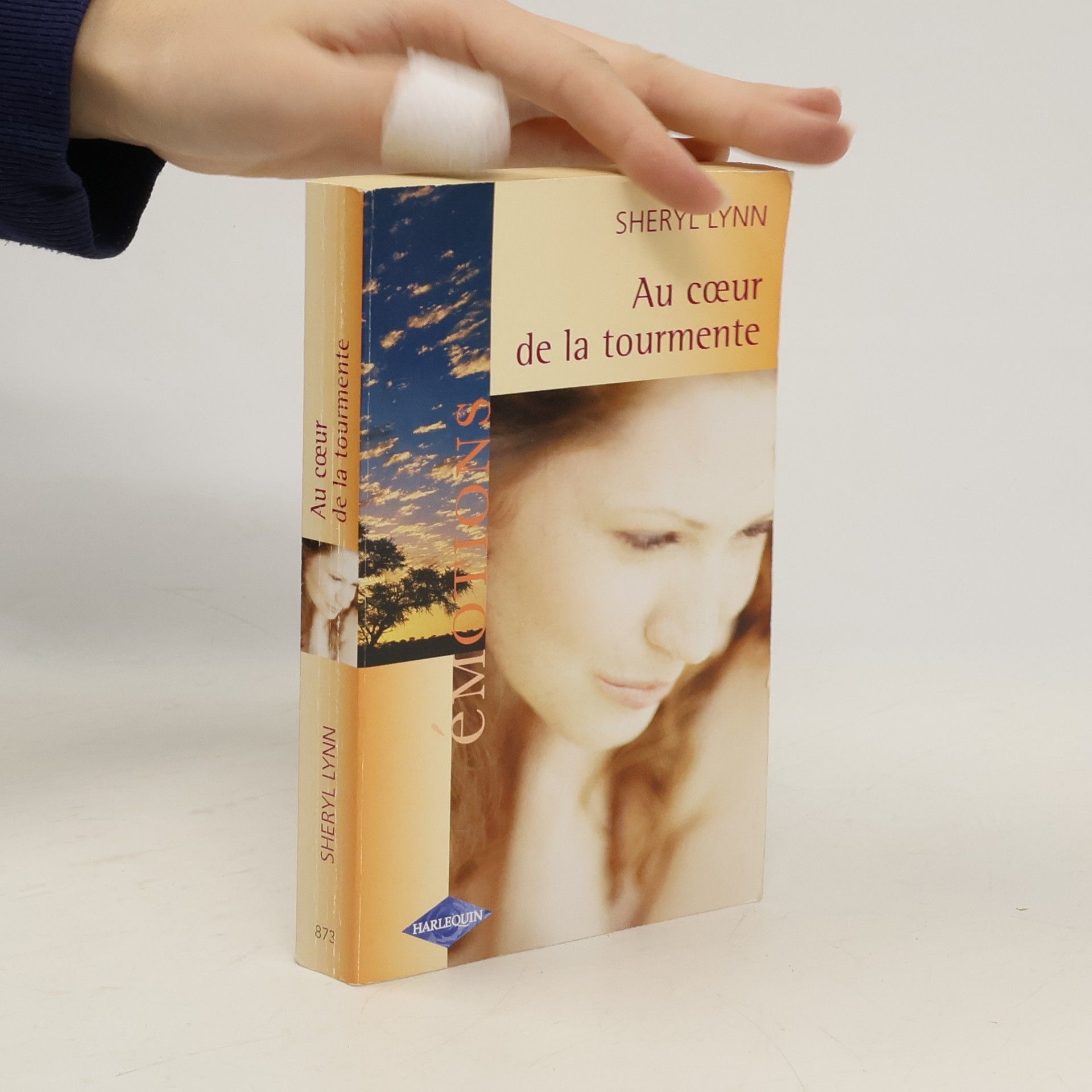 Sheryl Lynn Au coeur de la tourmente