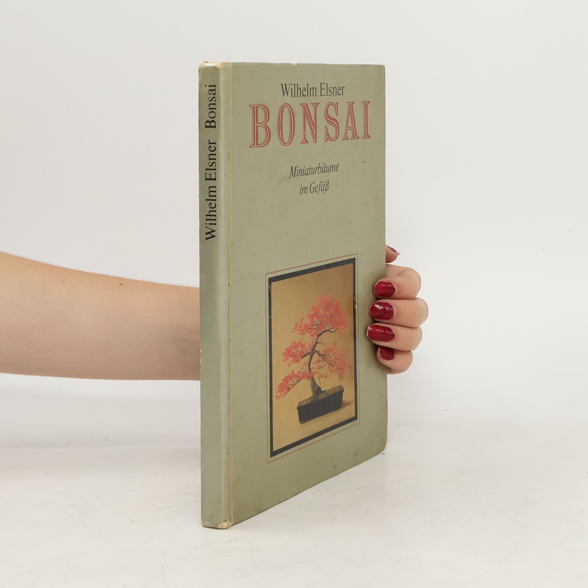 Wilhelm Elsner Bonsai