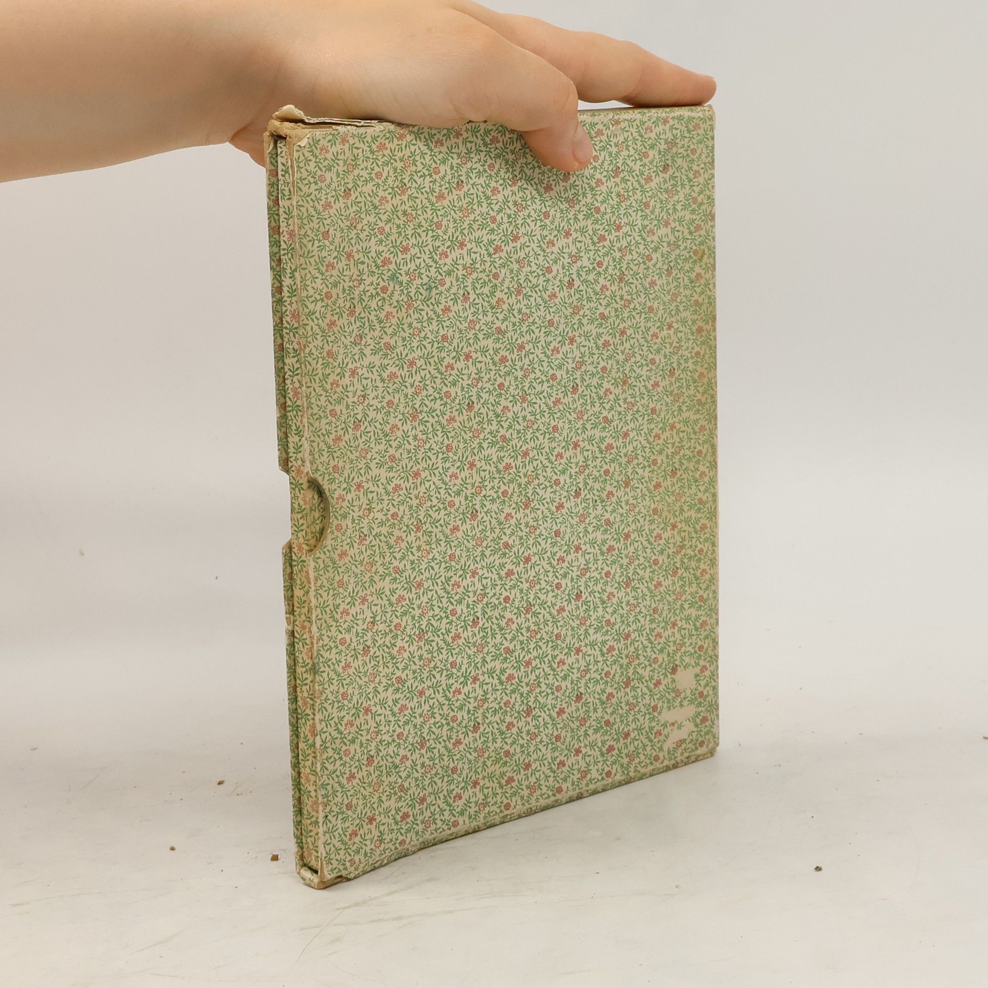 Collectif d'auteurs Vorstellung der heutigen Straßburgischen Mode und Kleindertrachten