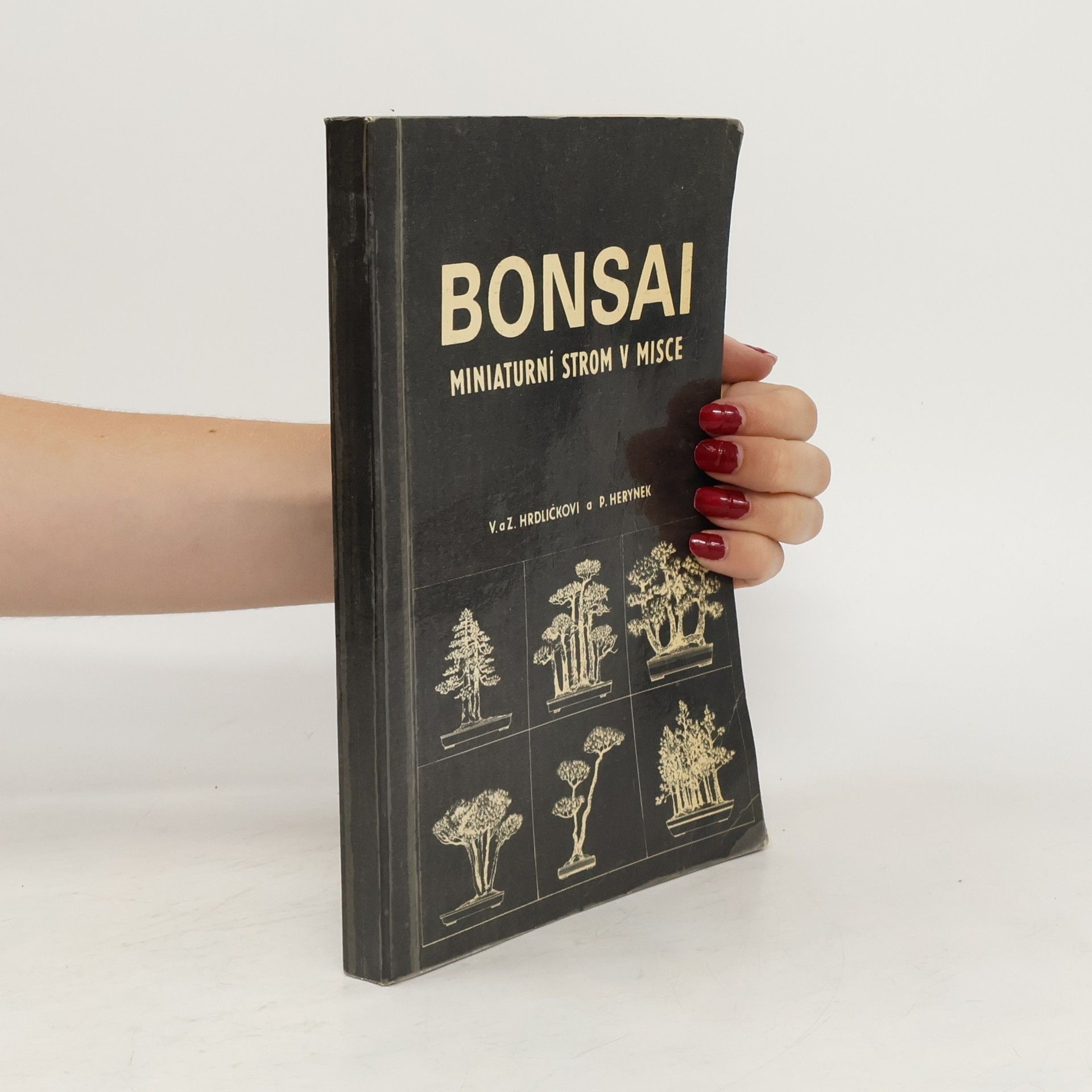 Zdeněk Hrdlička Bonsai. Miniaturní strom v misce