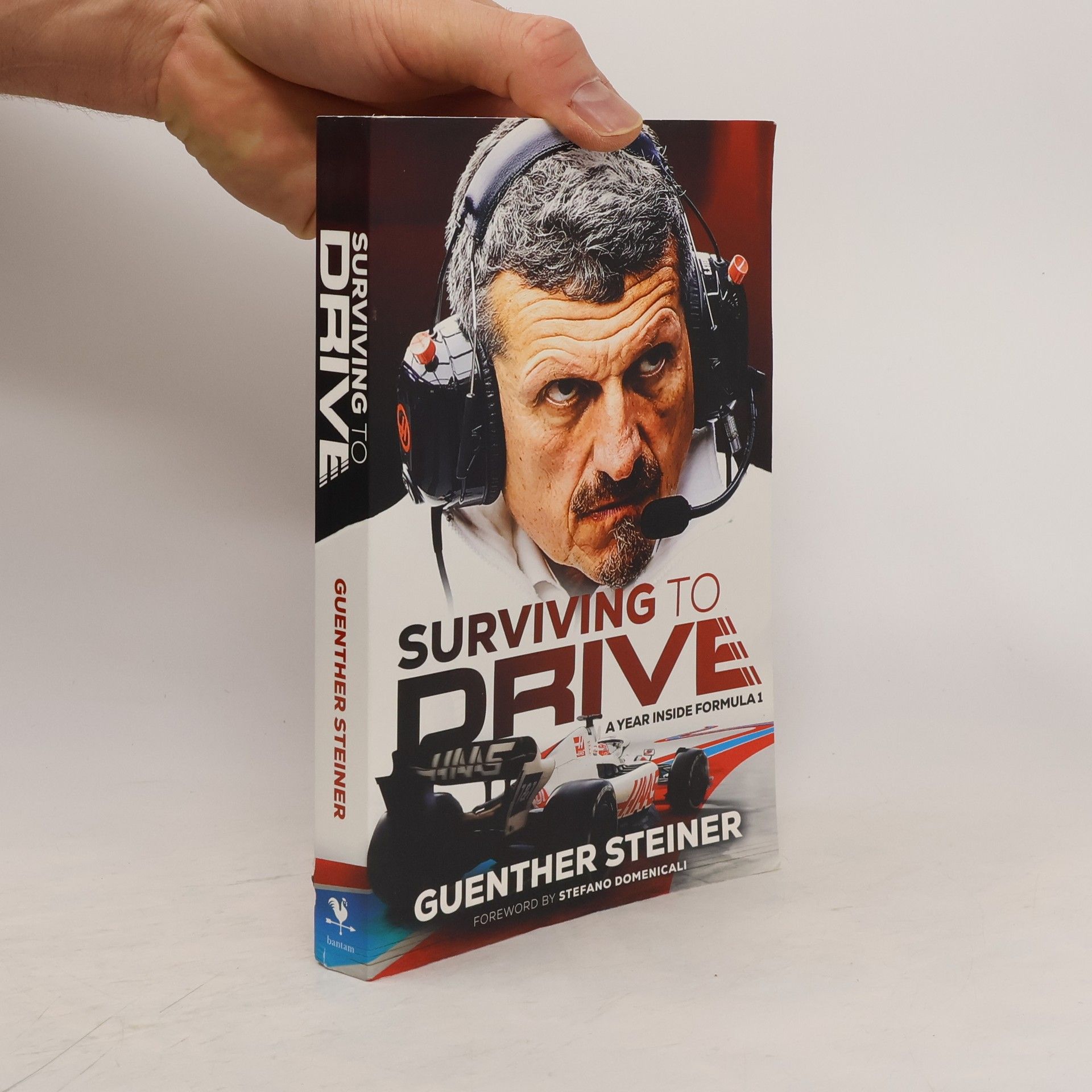 Guenther Steiner Surviving to Drive