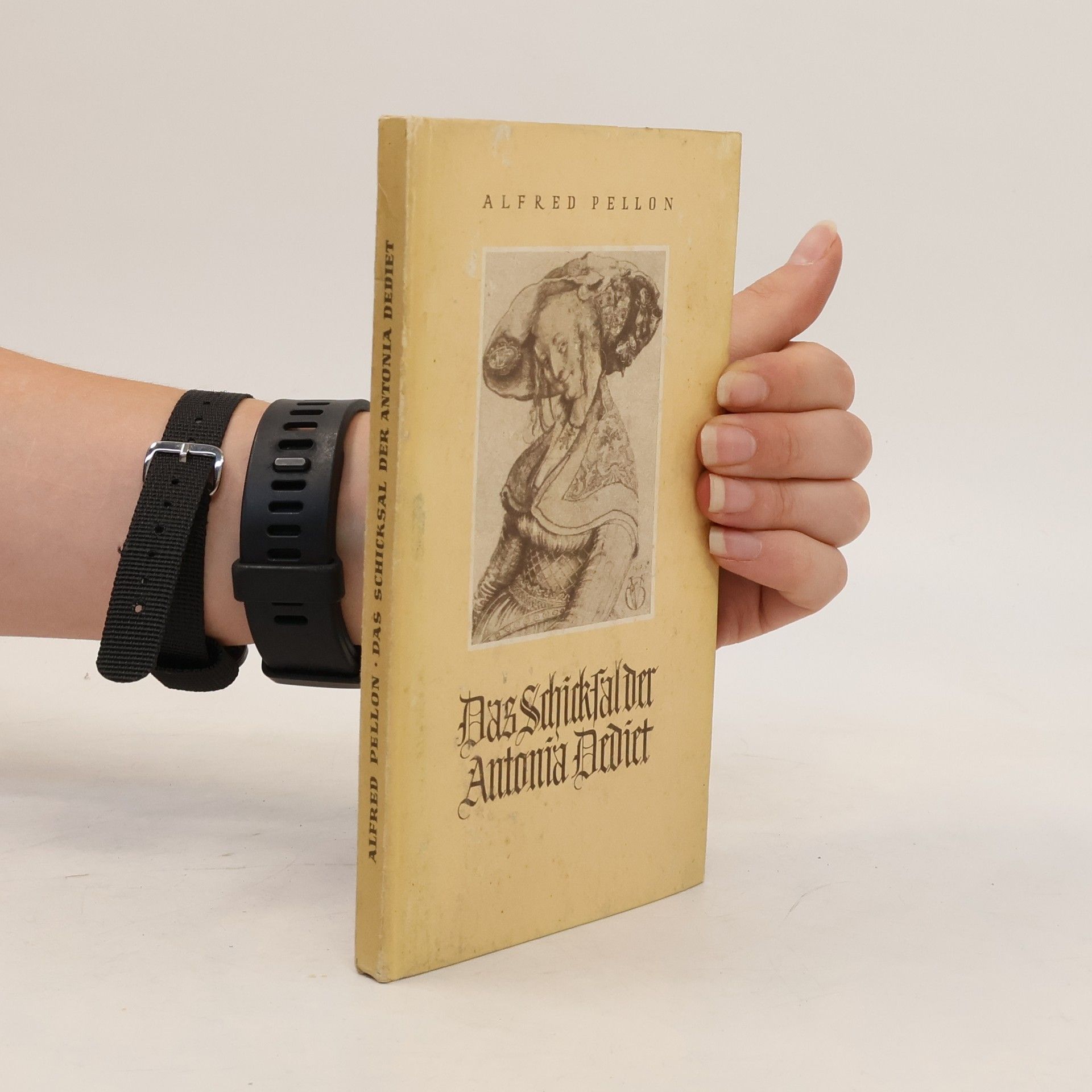 Alfred Pellon Das Schicksal der Antonia Dediet