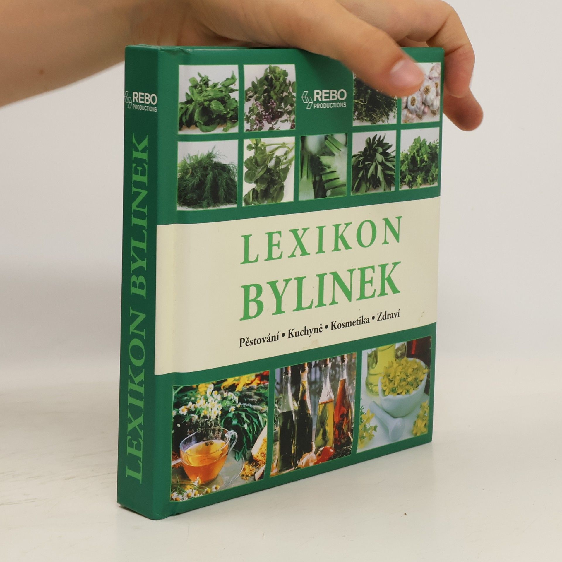 Andrea Rausch Lexikon bylinek