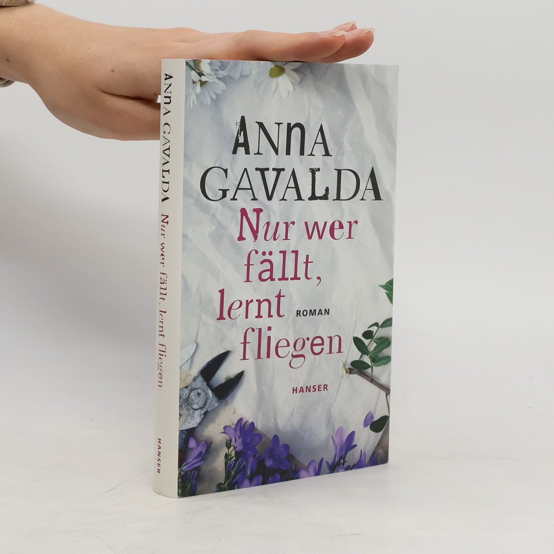 Anna Gavalda Nur wer fällt, lernt fliegen