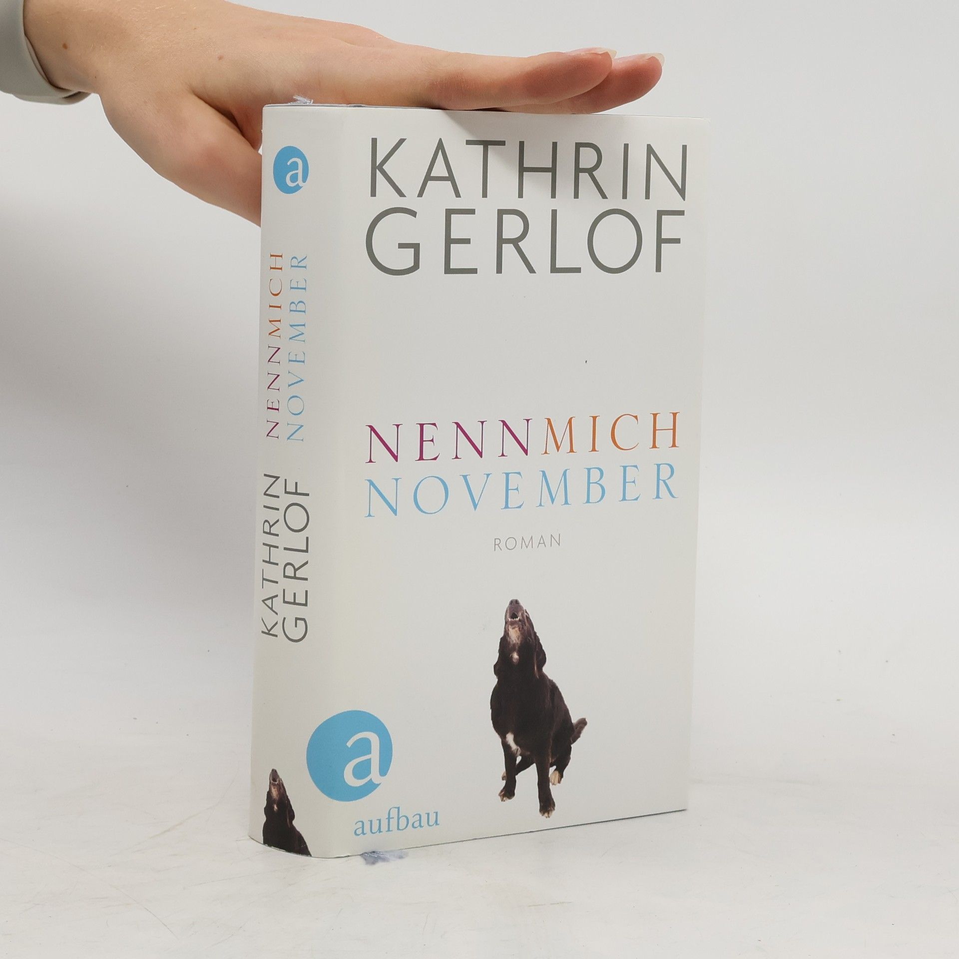 Kathrin Gerlof Nenn mich November