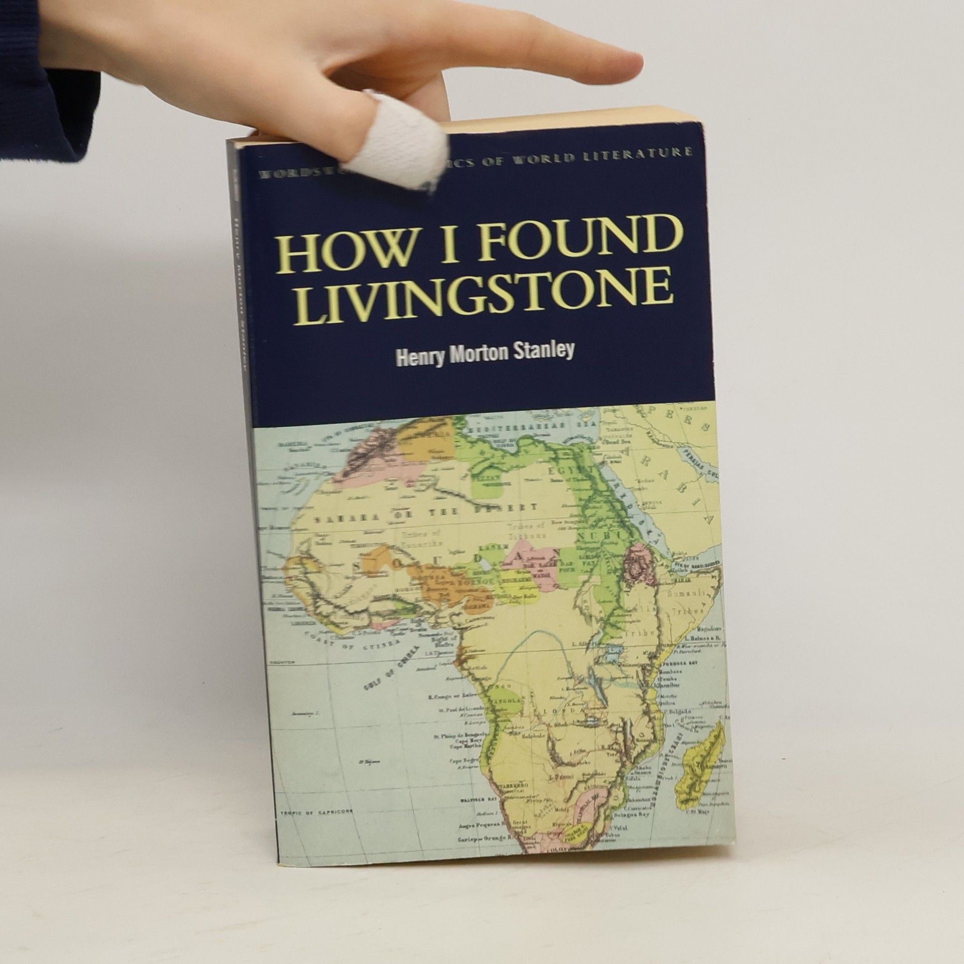 Henry Morton Stanley How I Found Livingstone