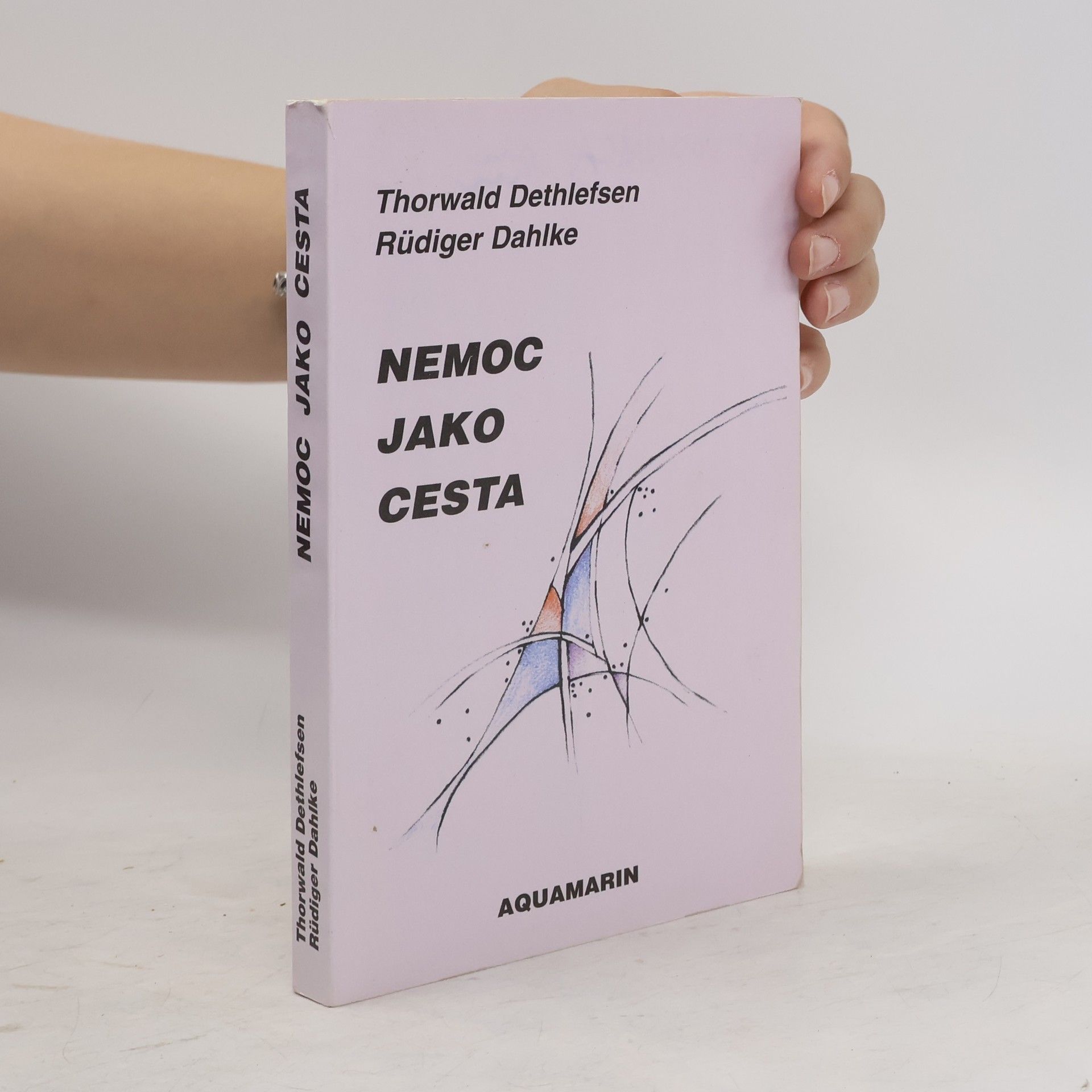 Thorwald Dethlefsen Nemoc jako cesta