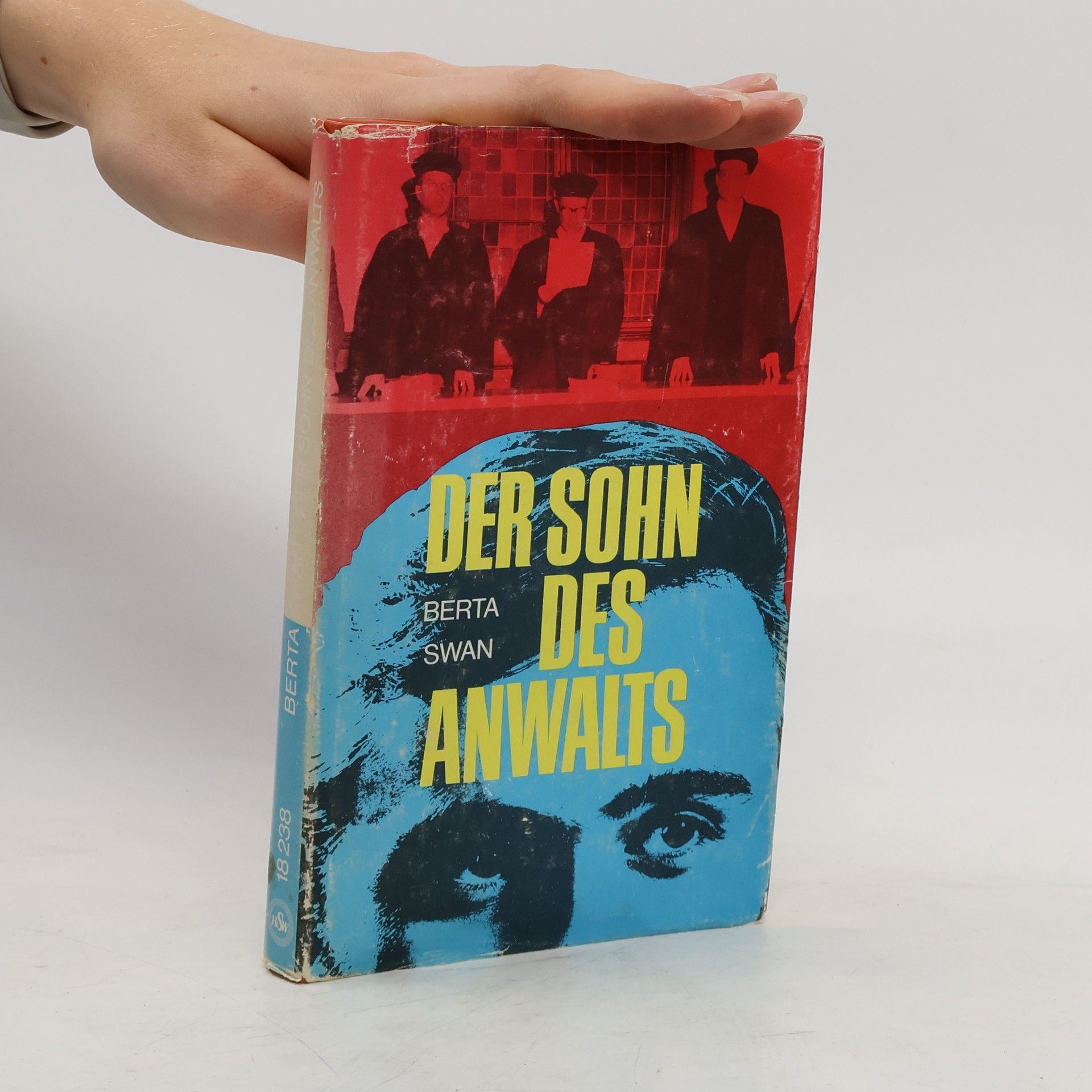 Der Sohn des anwalts