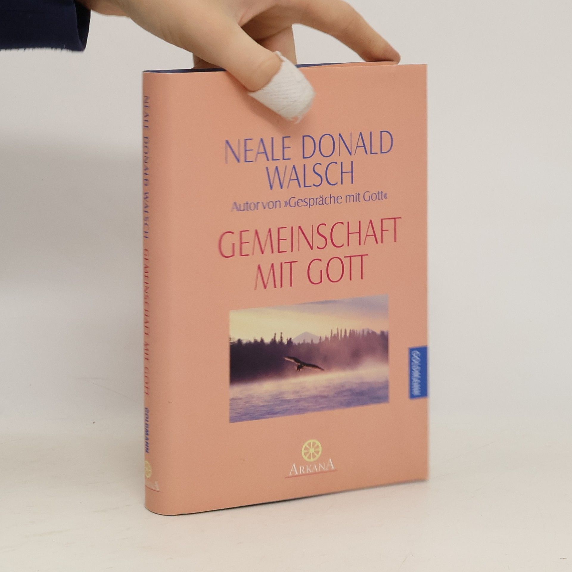 Neale Donald Walsch Freundschaft Mit Gott