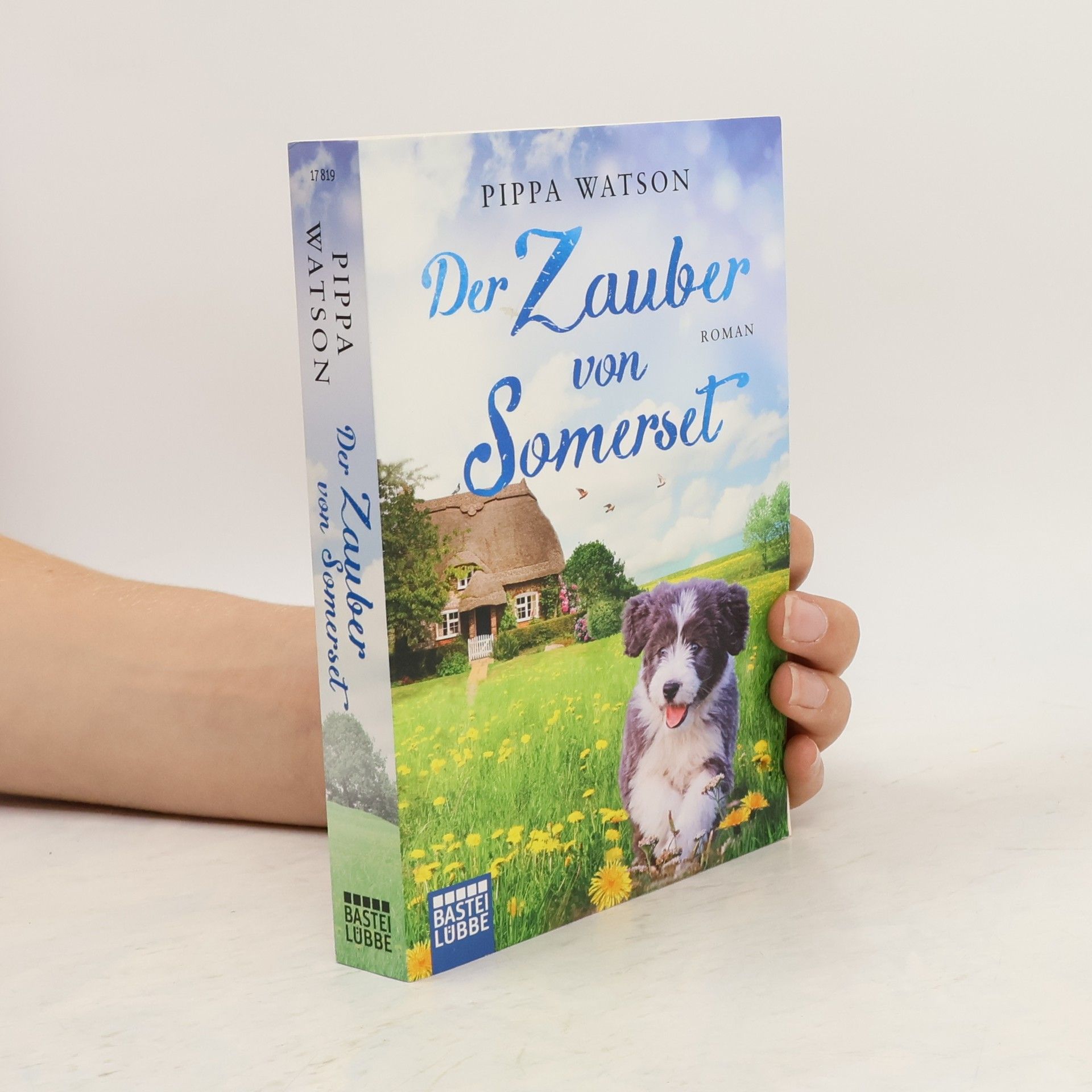 Pippa Watson Der Zauber von Somerset
