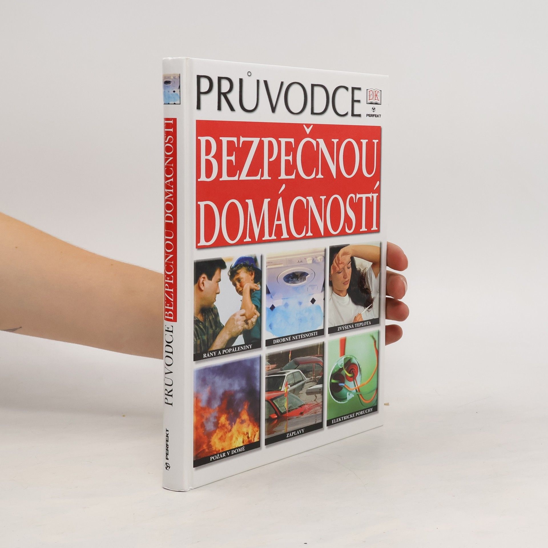David Ashby Průvodce bezpečnou domácností