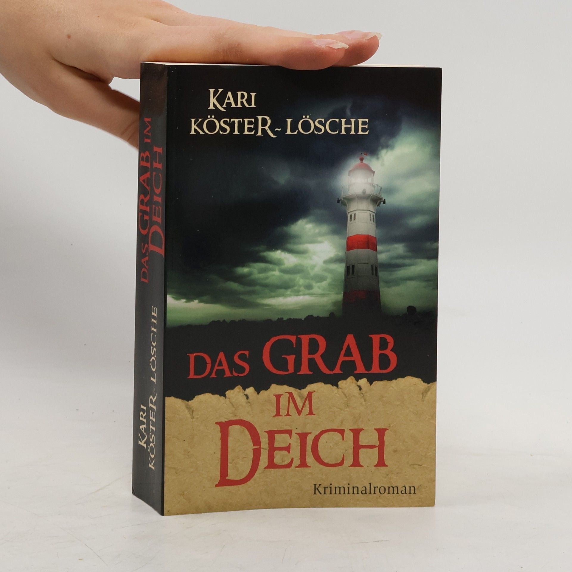 Kari Köster-Lösche Das Grab im Deich