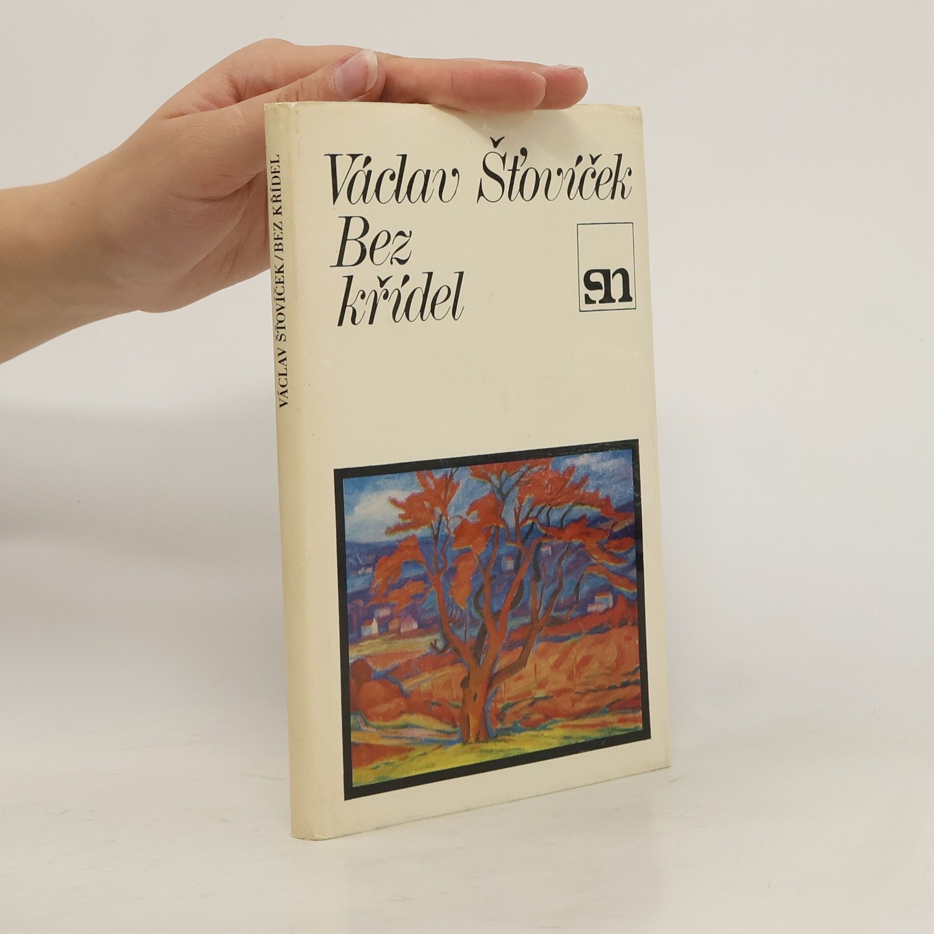 Václav Šťovíček Bez křídel