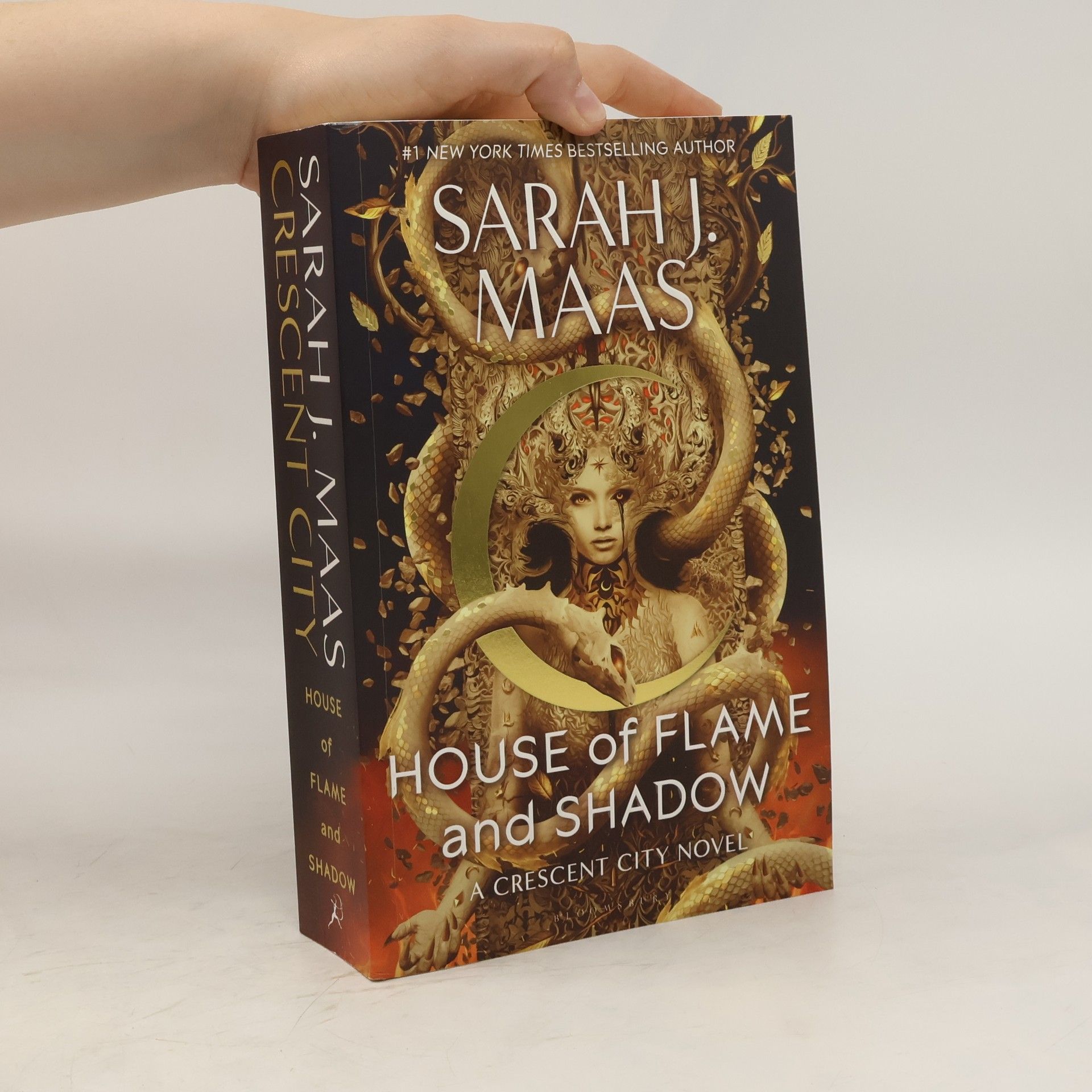 Sarah J. Maas House of Flame and Shadow