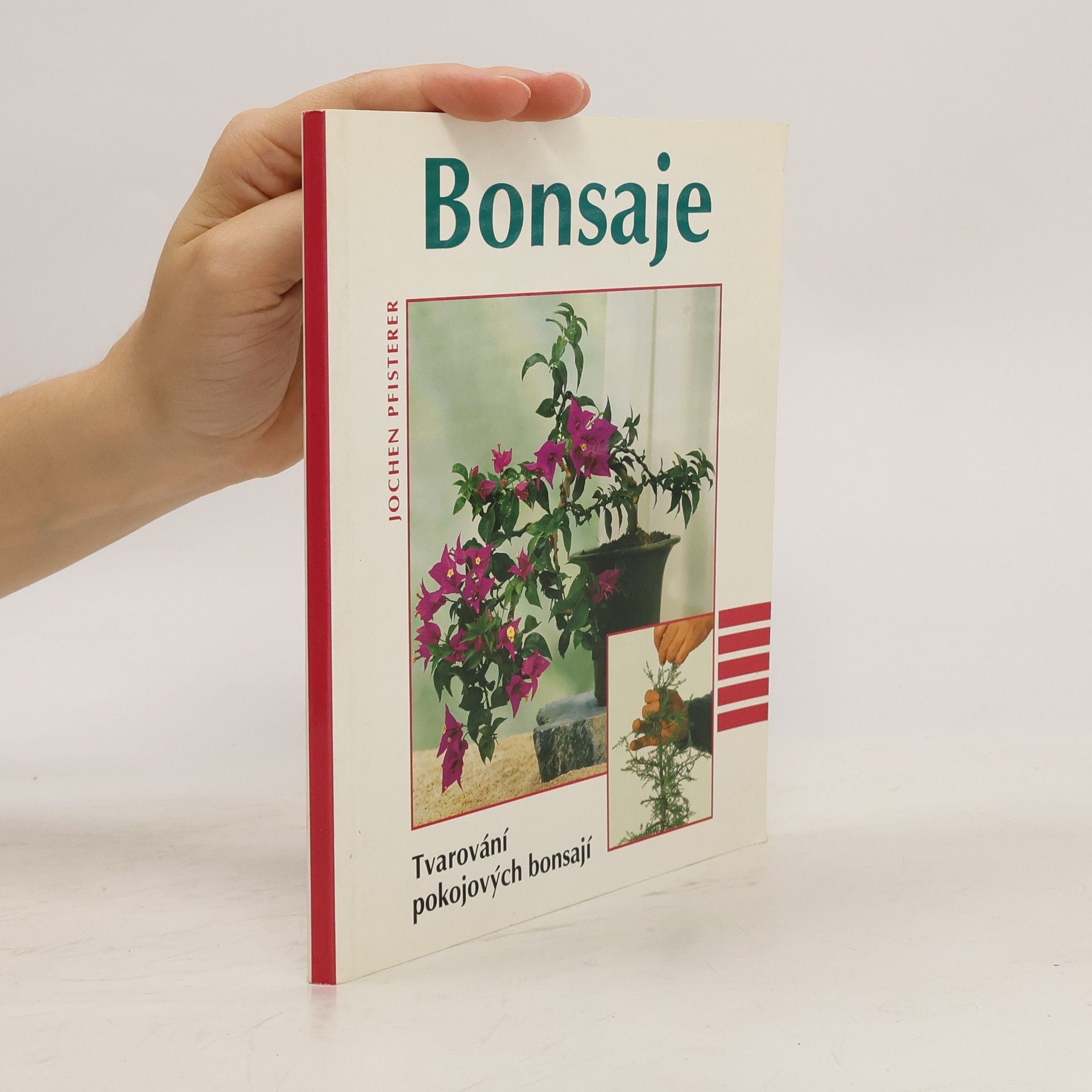Jochen Pfisterer Bonsaje. Tvarování pokojových bonsají