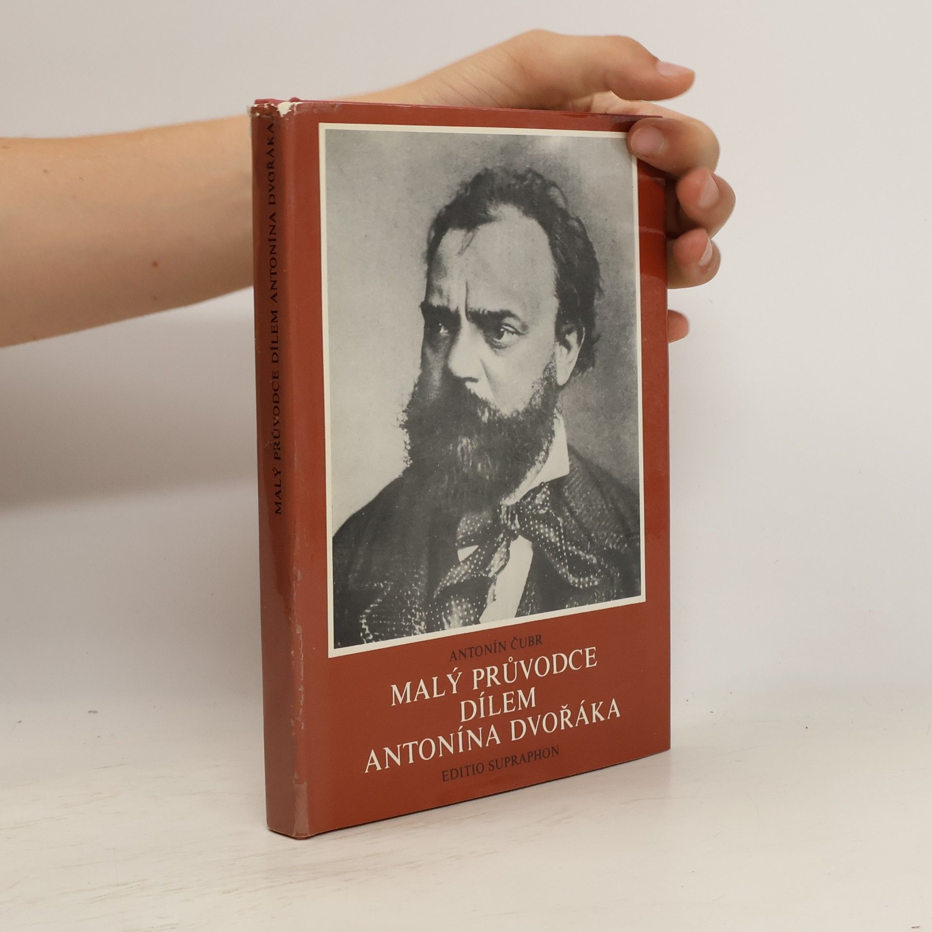 Antonín Čubr Malý průvodce dílem Antonína Dvořáka