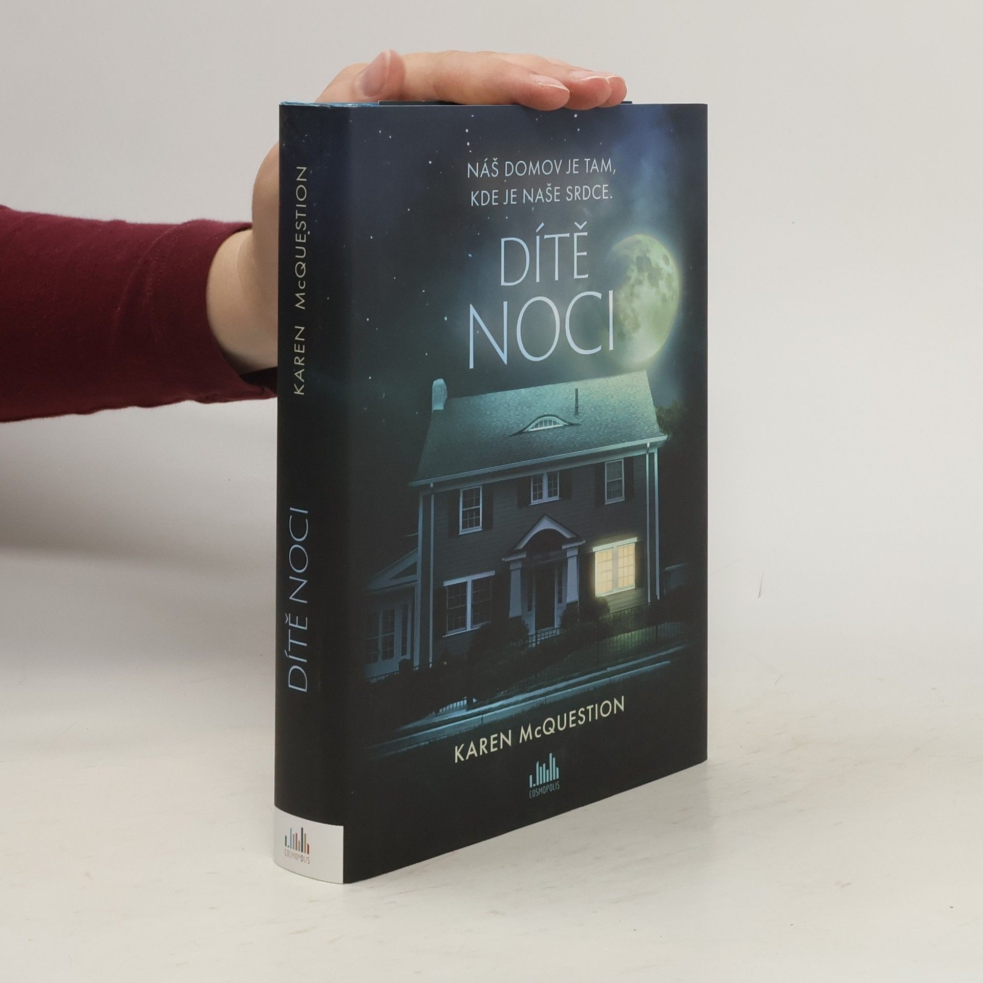 Karen McQuestion Dítě noci