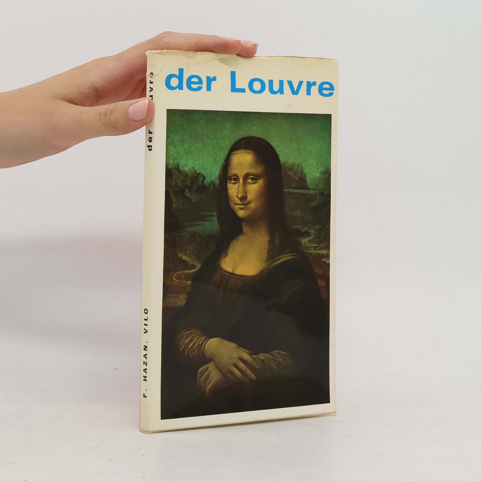 Michael Gallet Der Louvre