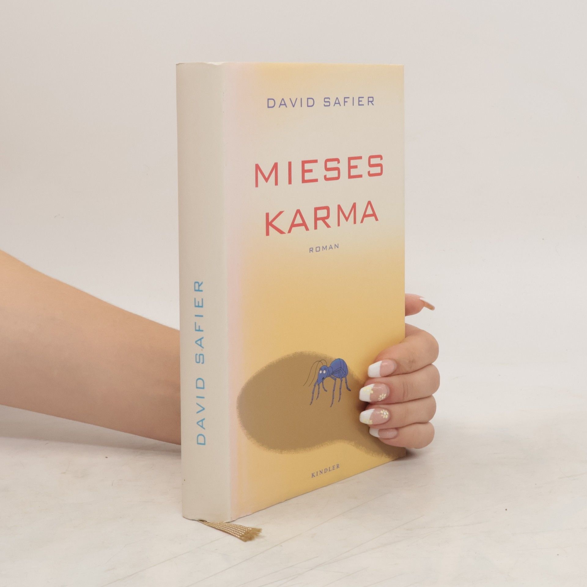David Safier Mieses Karma