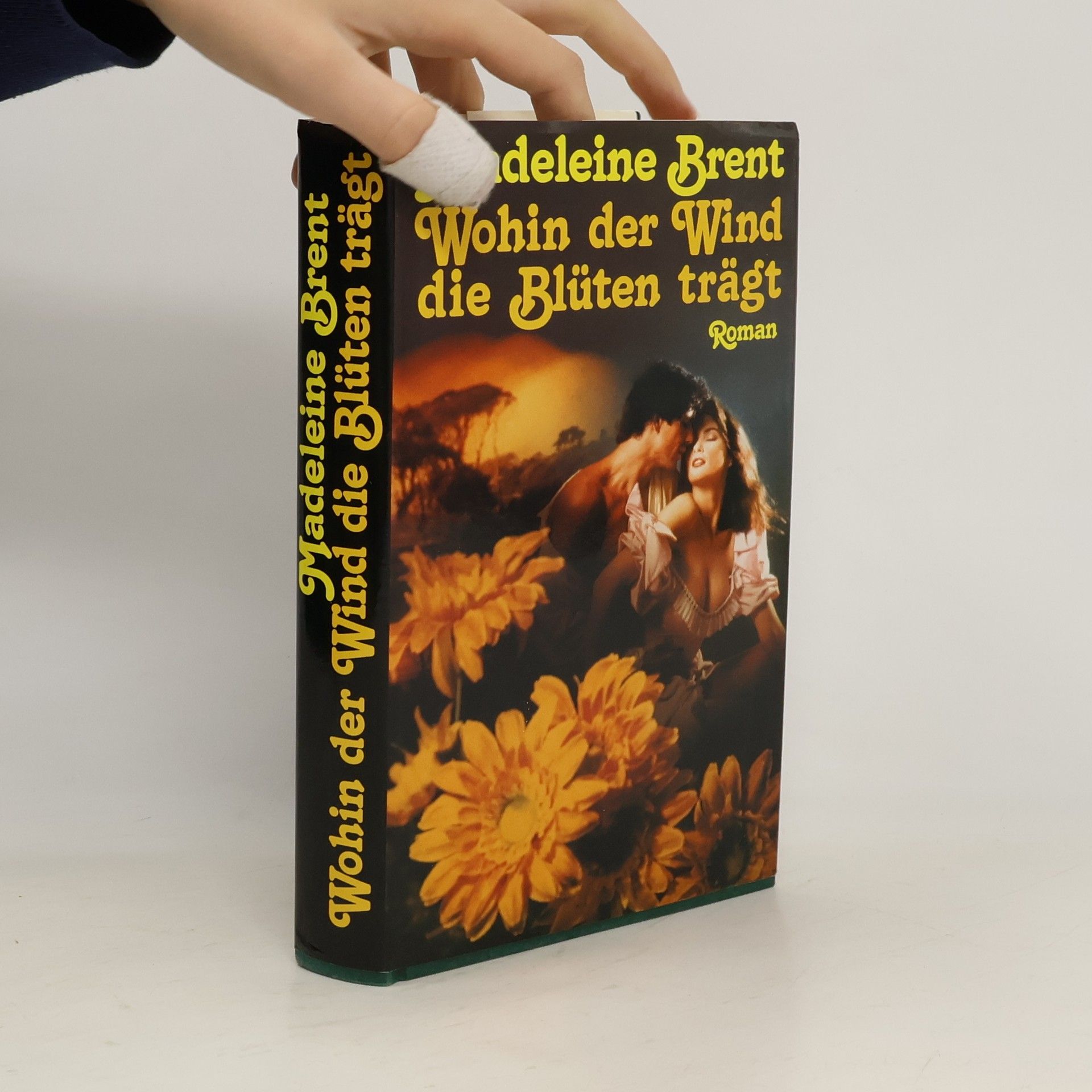 Madeleine Brent Wohin der Wind die Blüten trägt