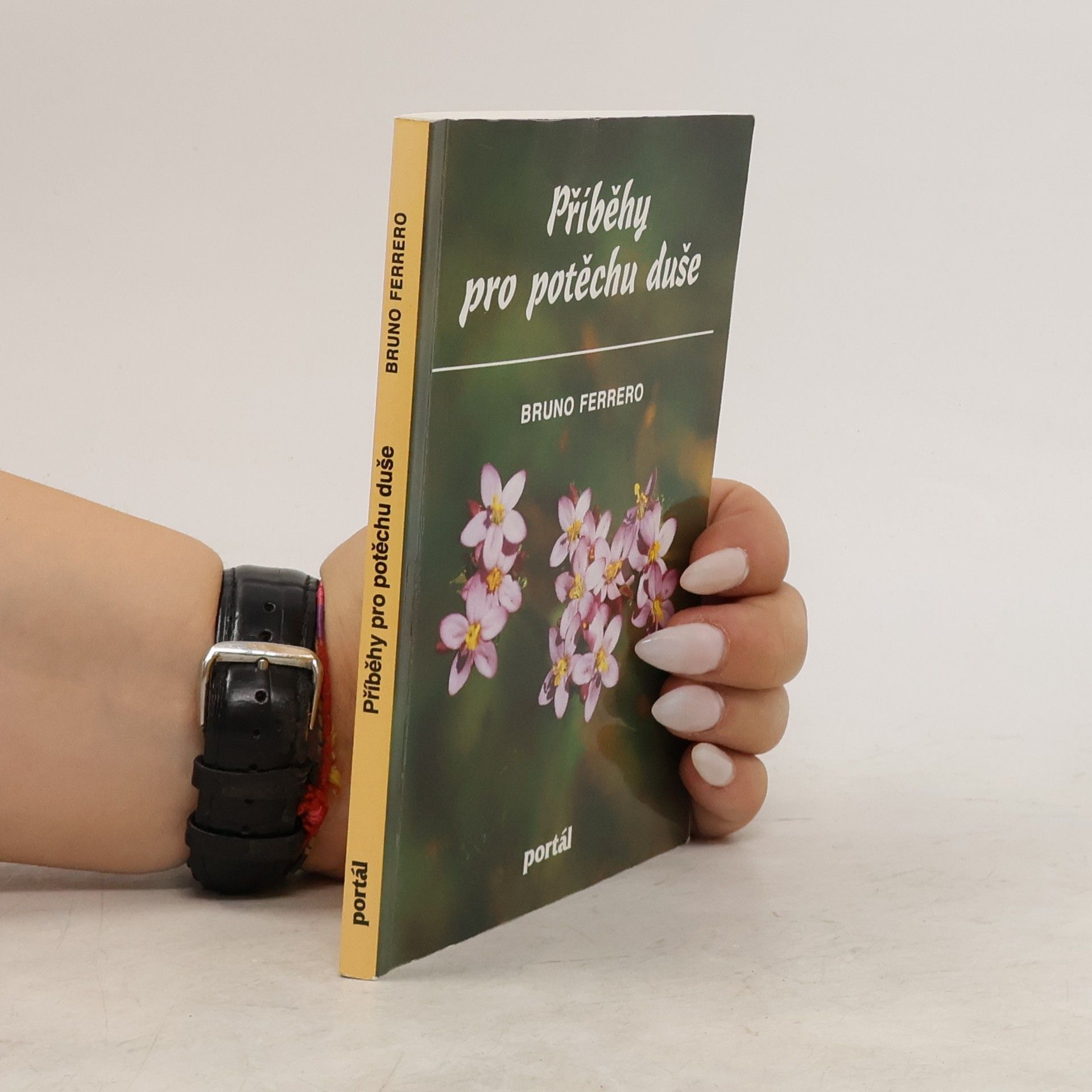 Bruno Ferrero Příběhy pro potěchu duše