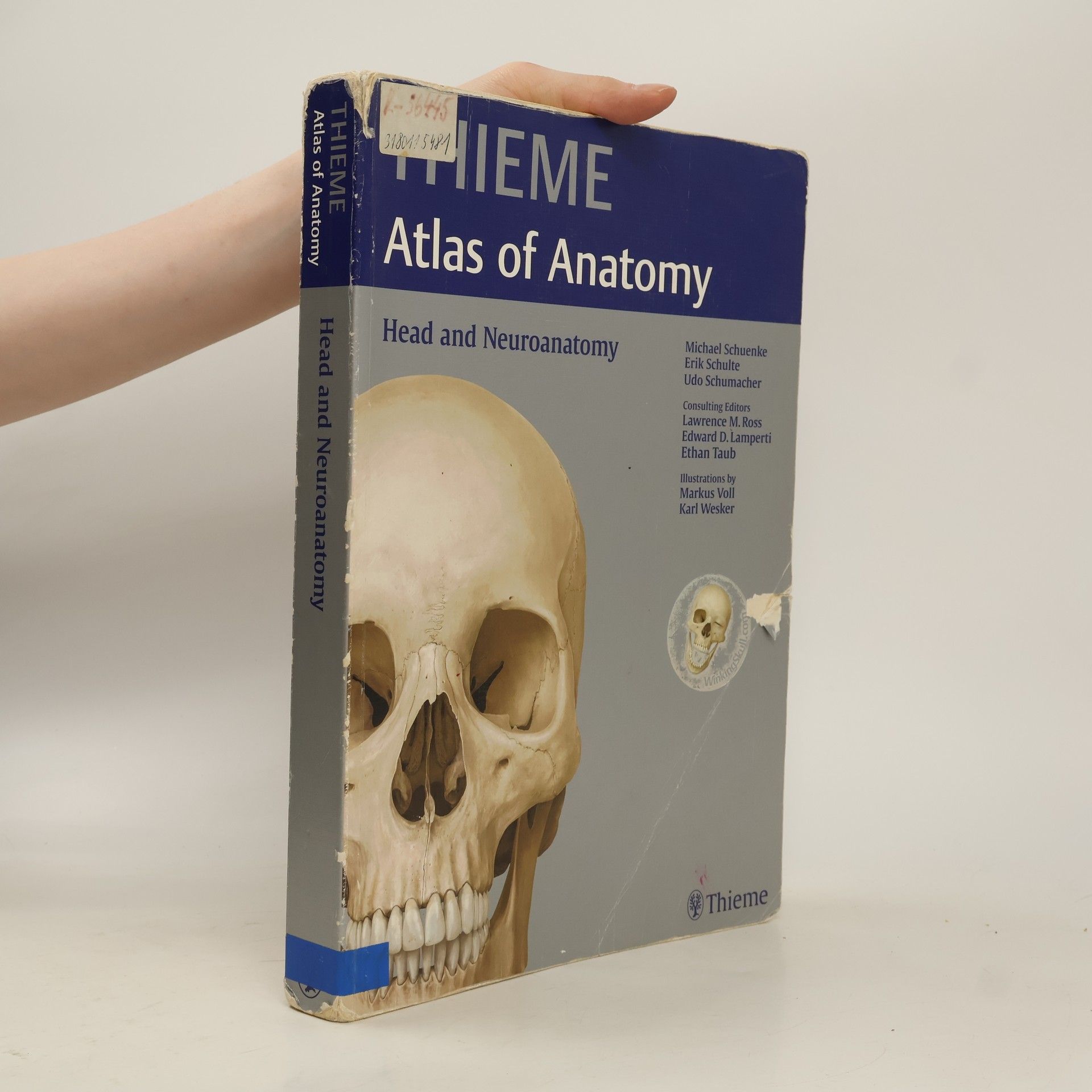 Autorenkollektiv Thieme atlas of anatomy. Head and neuroanatomy