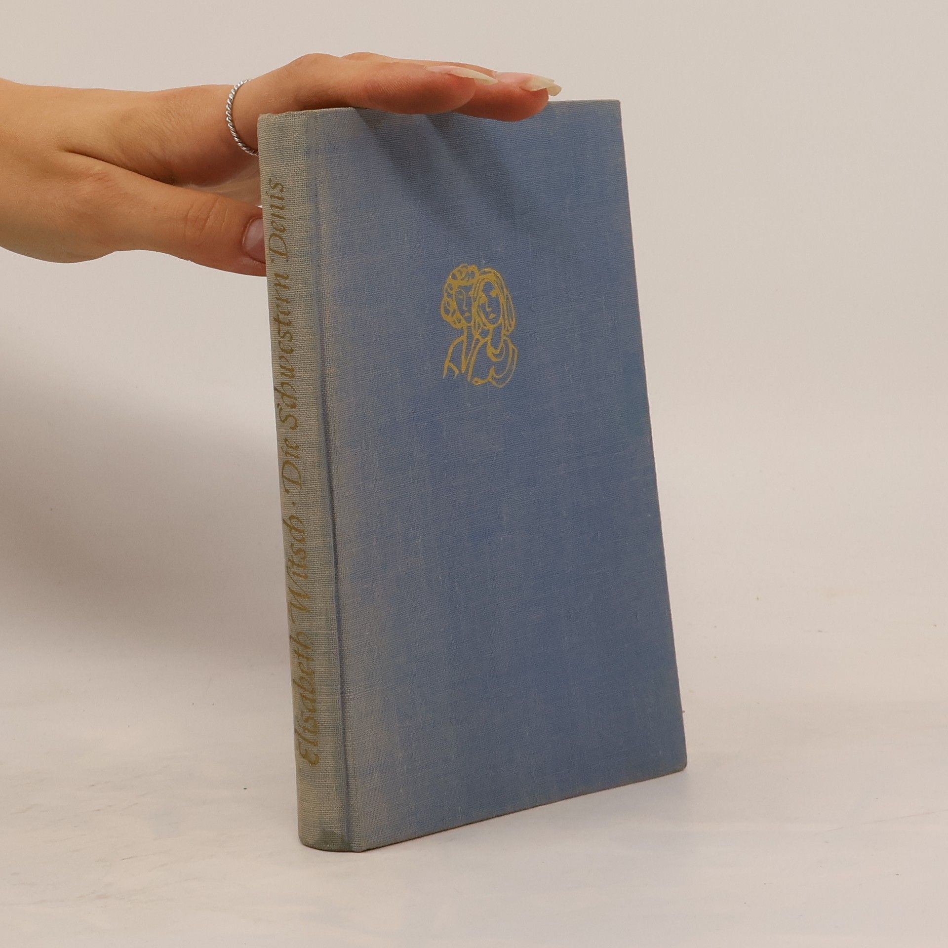 Elisabeth Witsch Die Schwestern Denis