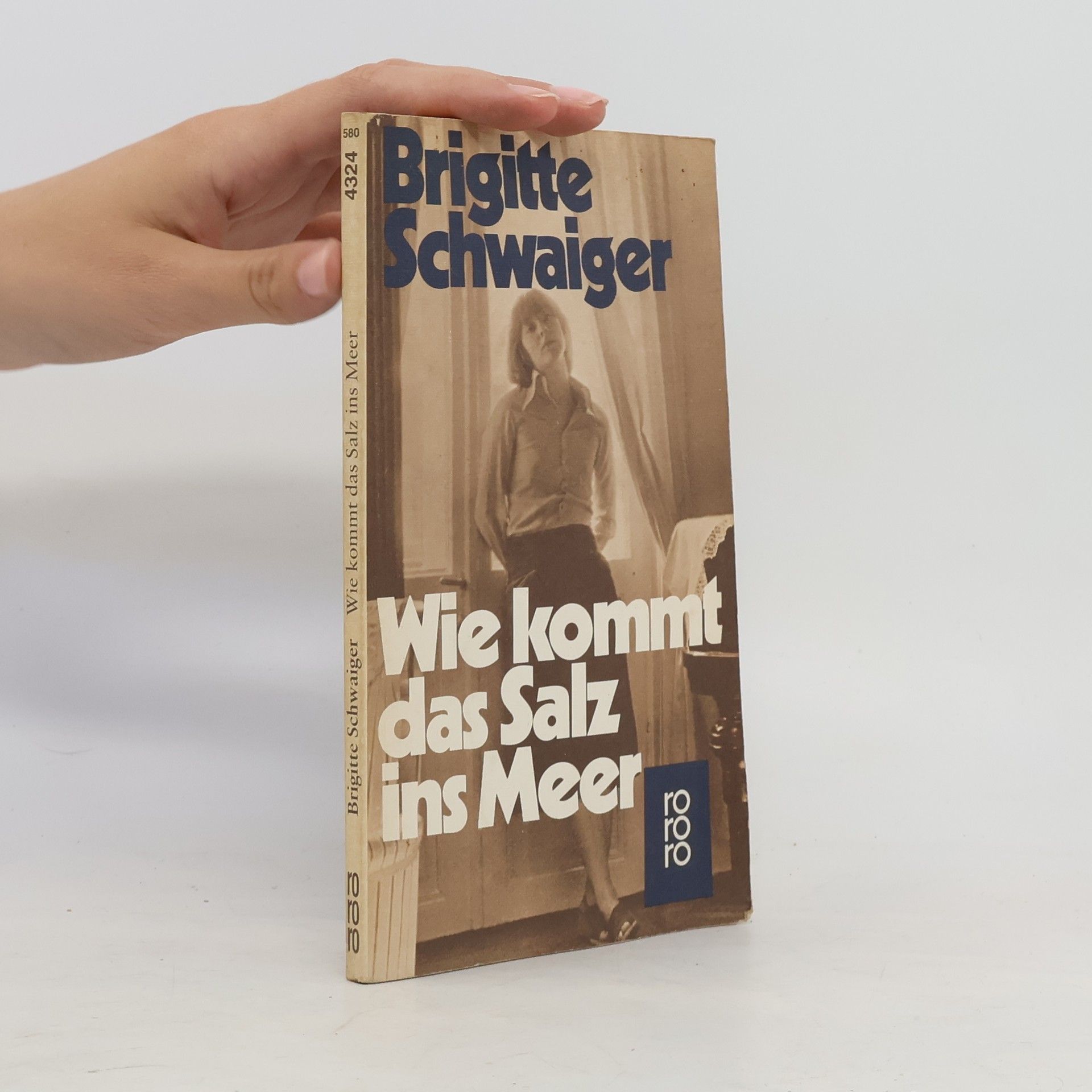 Brigitte Schwaiger Wie kommt das Salz ins Meer