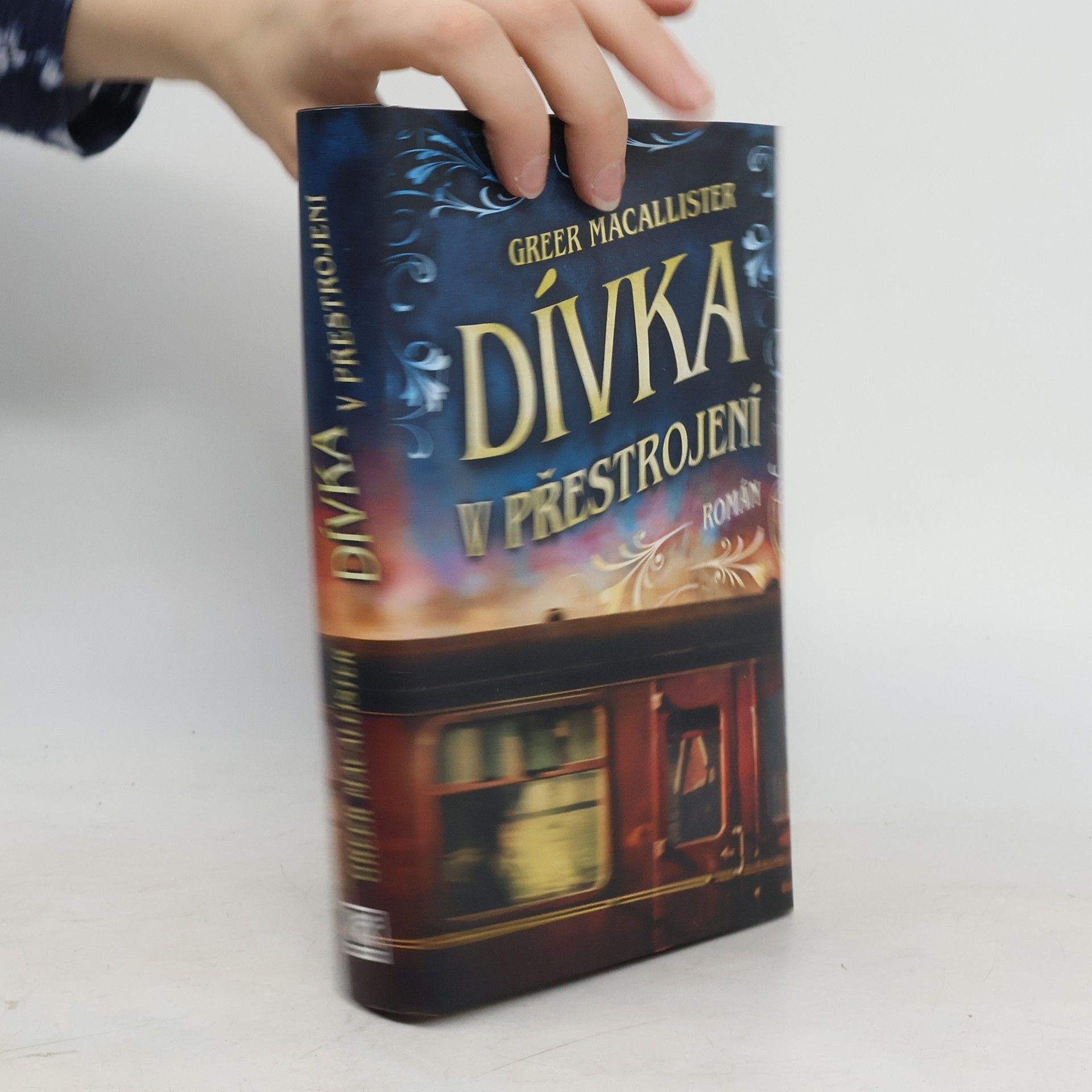 Greer Macallister Dívka v přestrojení